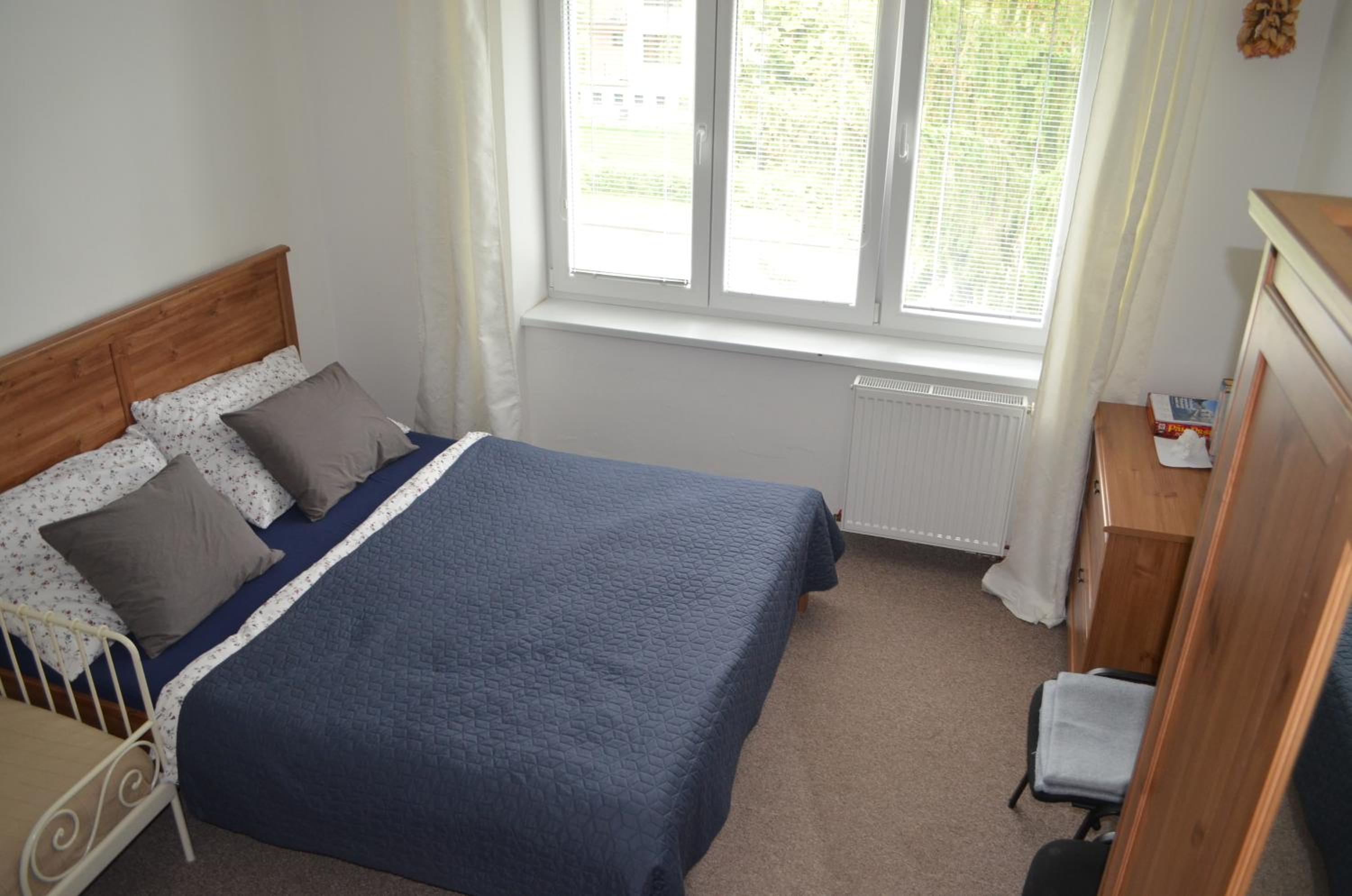 ROOM IN TREBON view 3