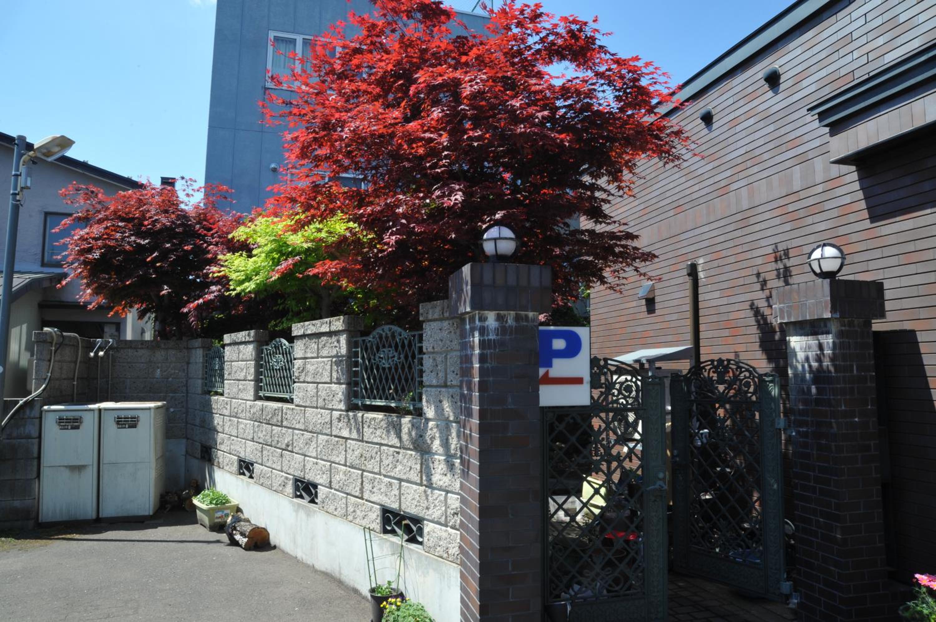 Nishikien inn 錦園