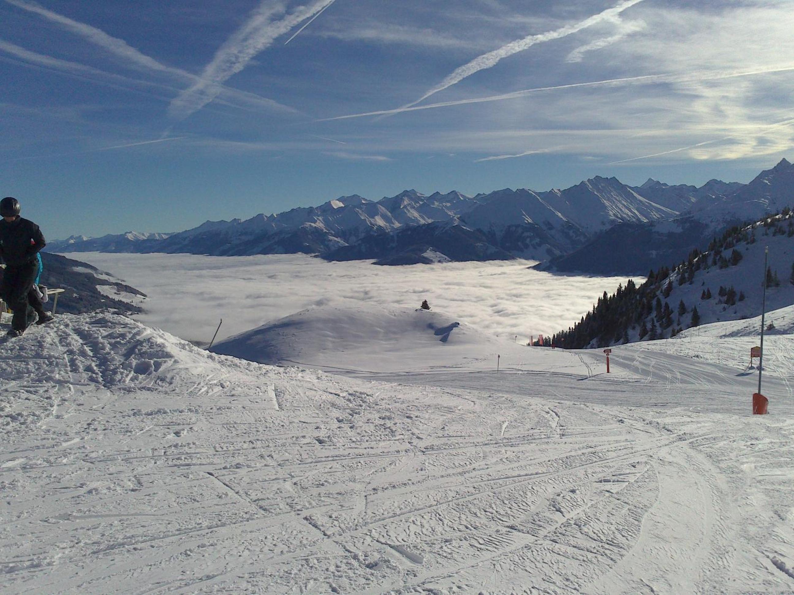 Photo 44