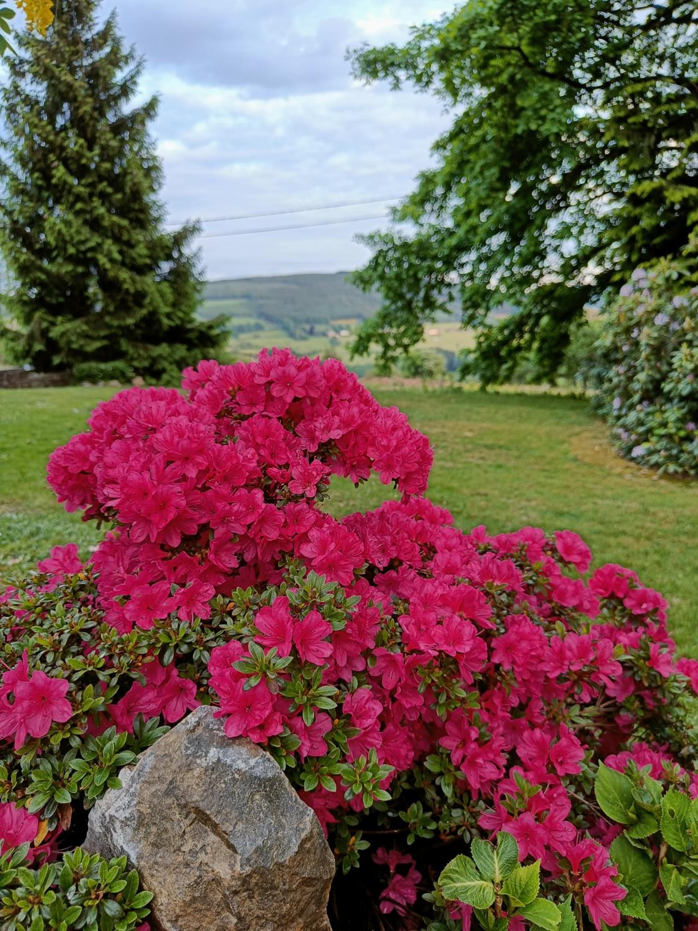 B&B Les Tchéous