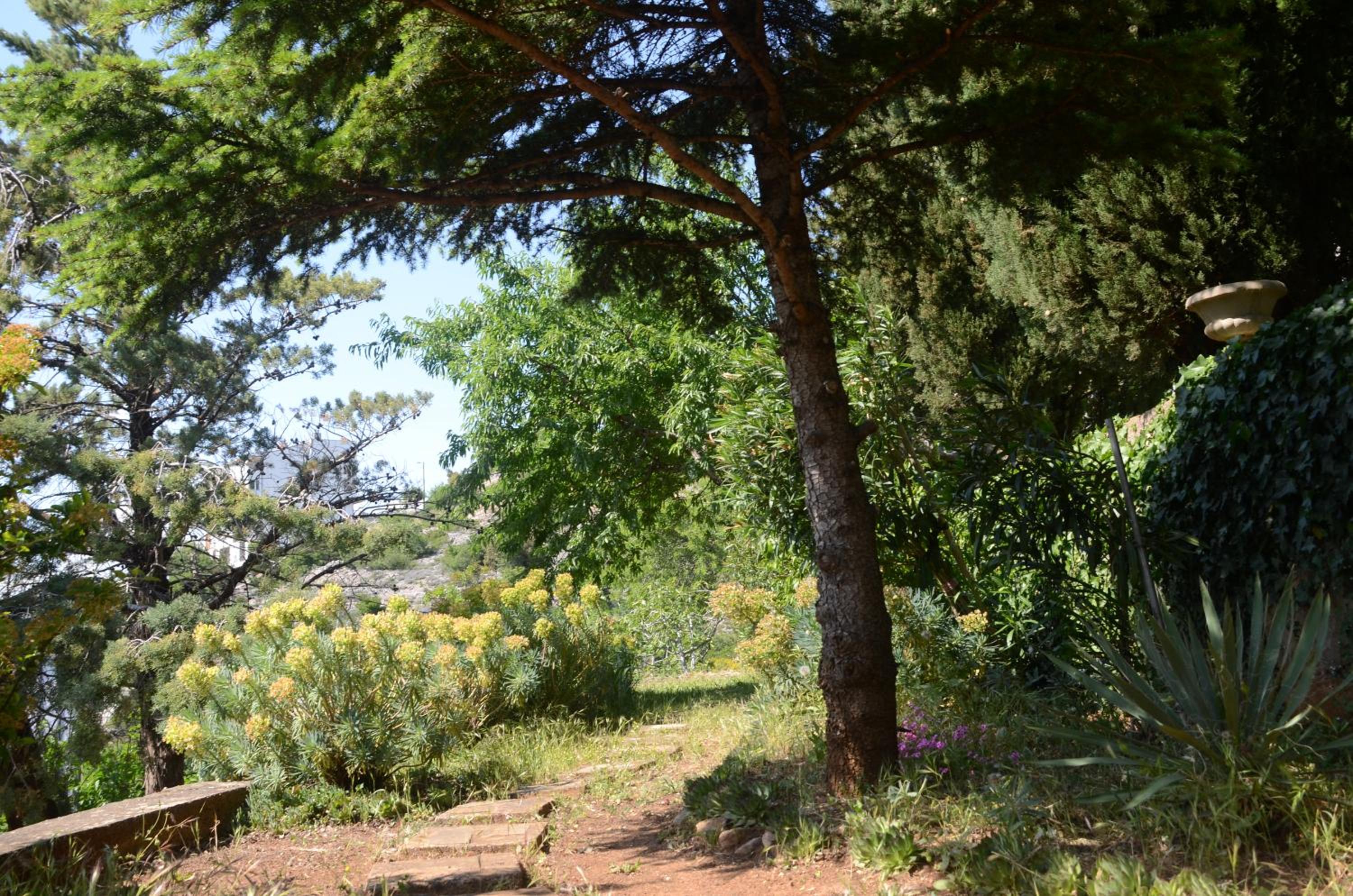 Photo 7
