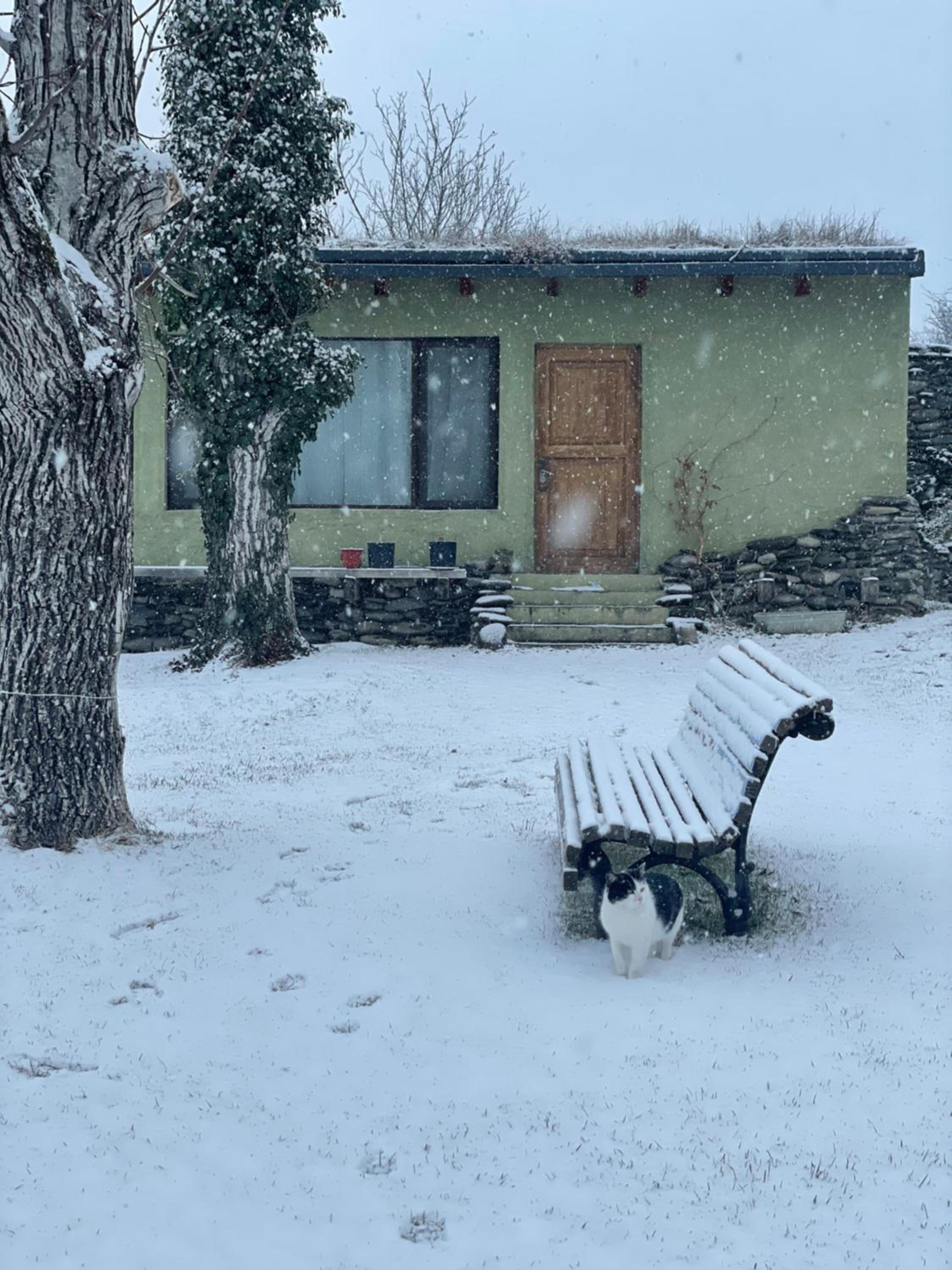 Cozy cottage in countryside close to Tbilisi view 5
