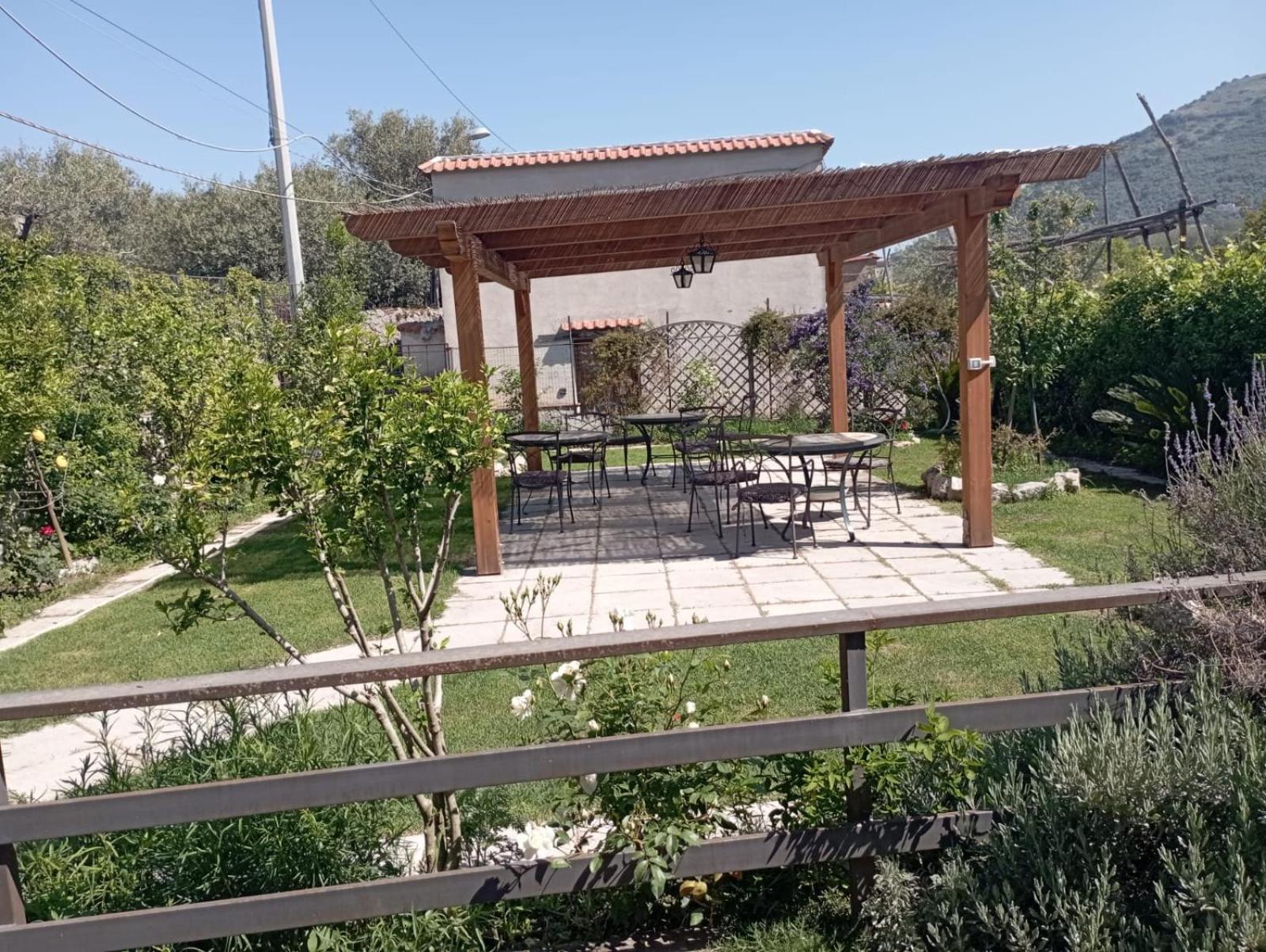 Vivere a colori view 2