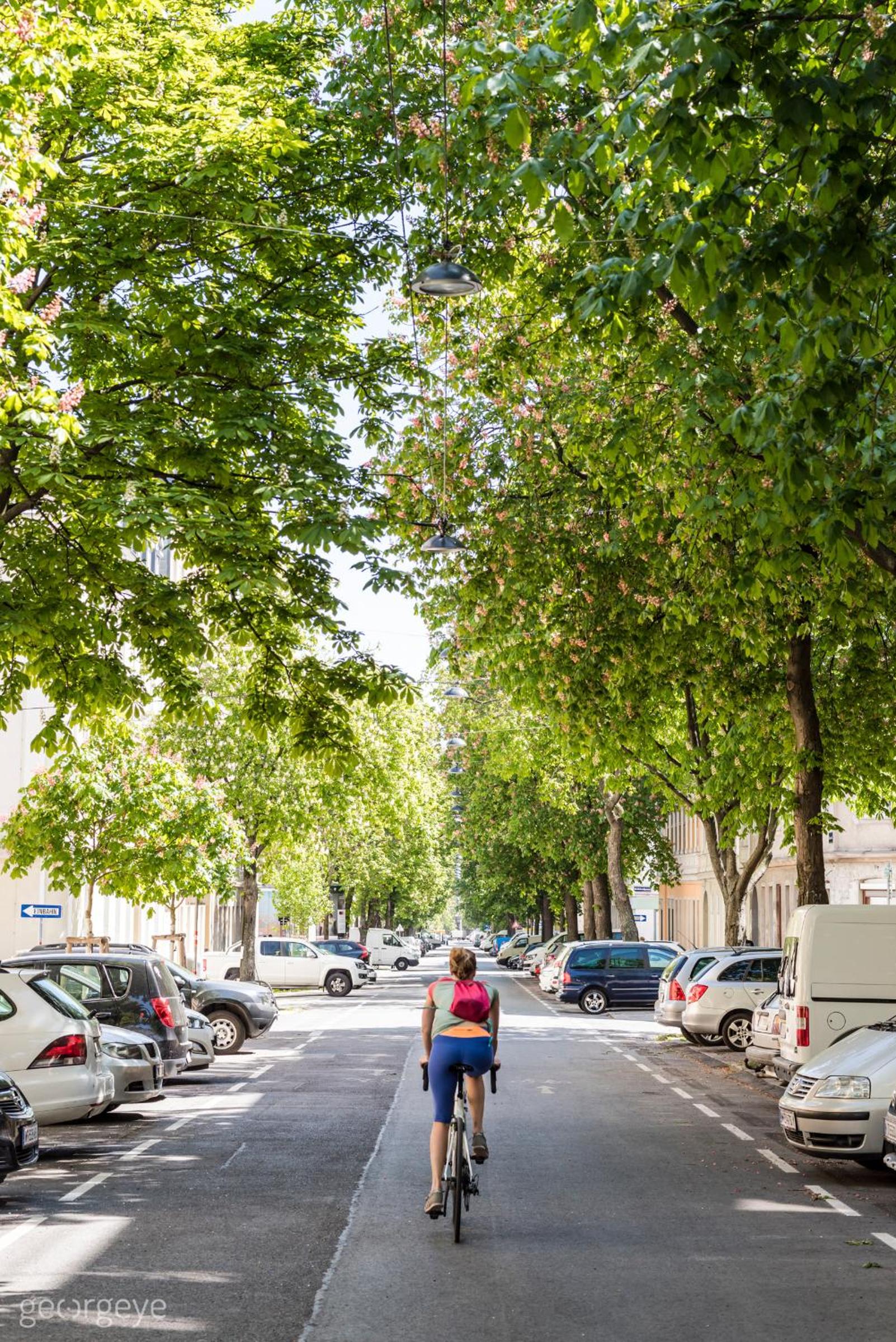 Cozy Ottakring