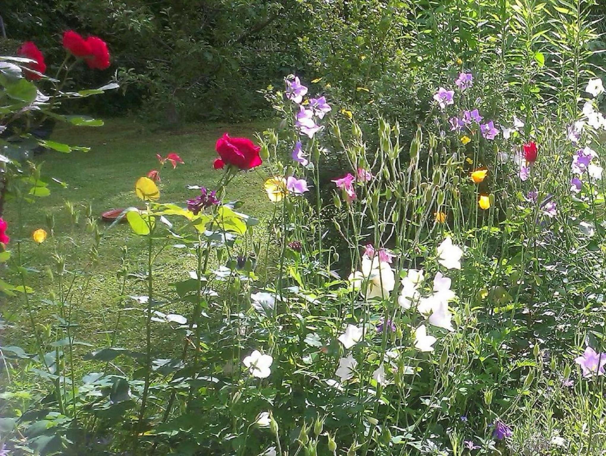Photo 7