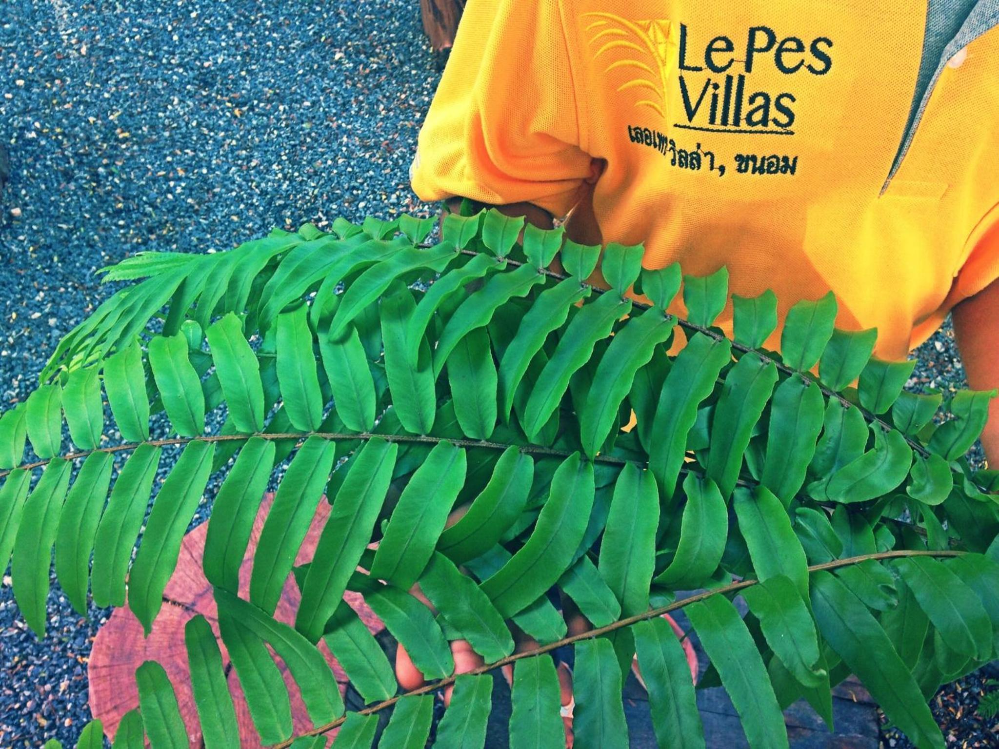 Le Pes Villas