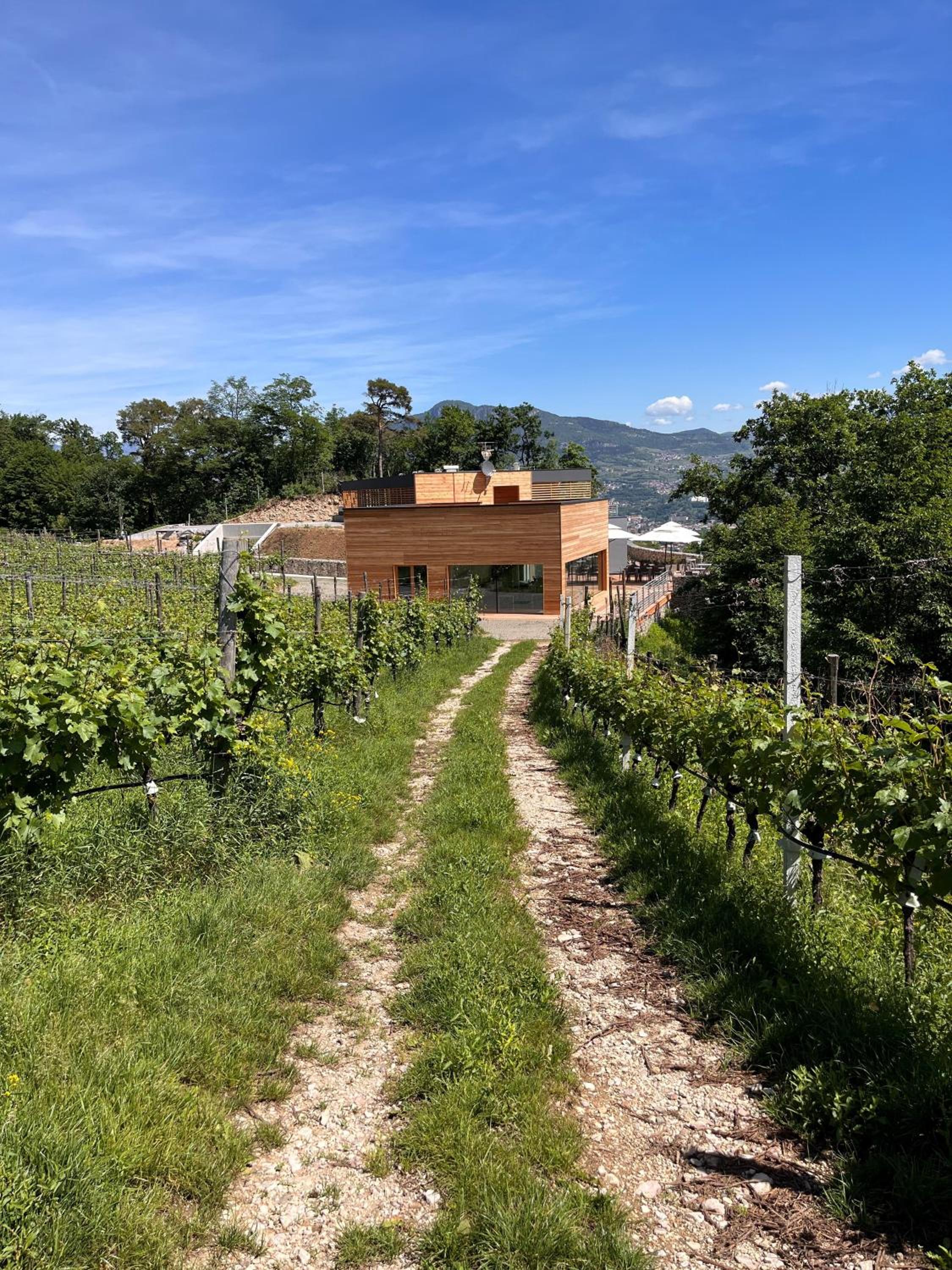 Agriturismo Margone