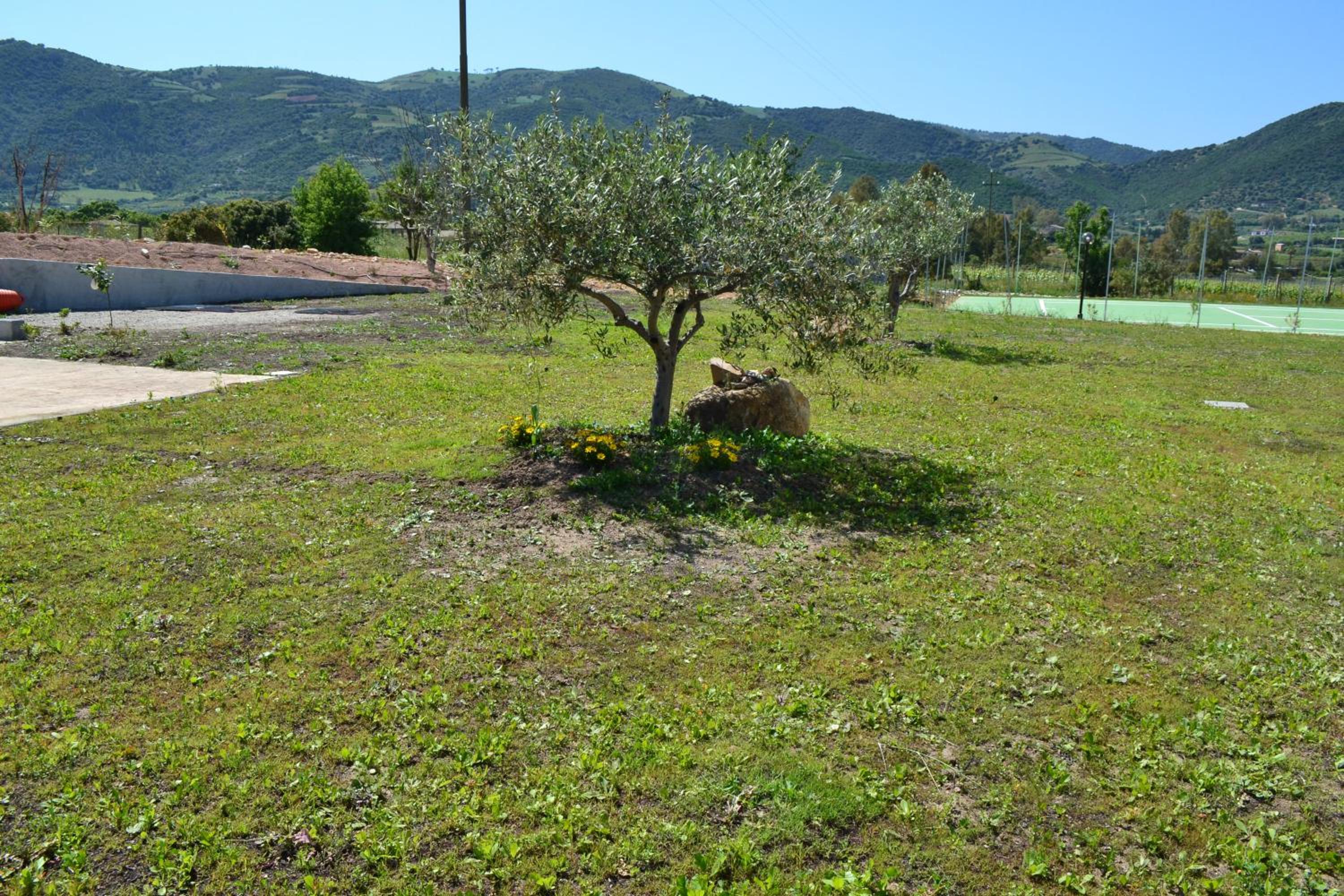 Photo 38