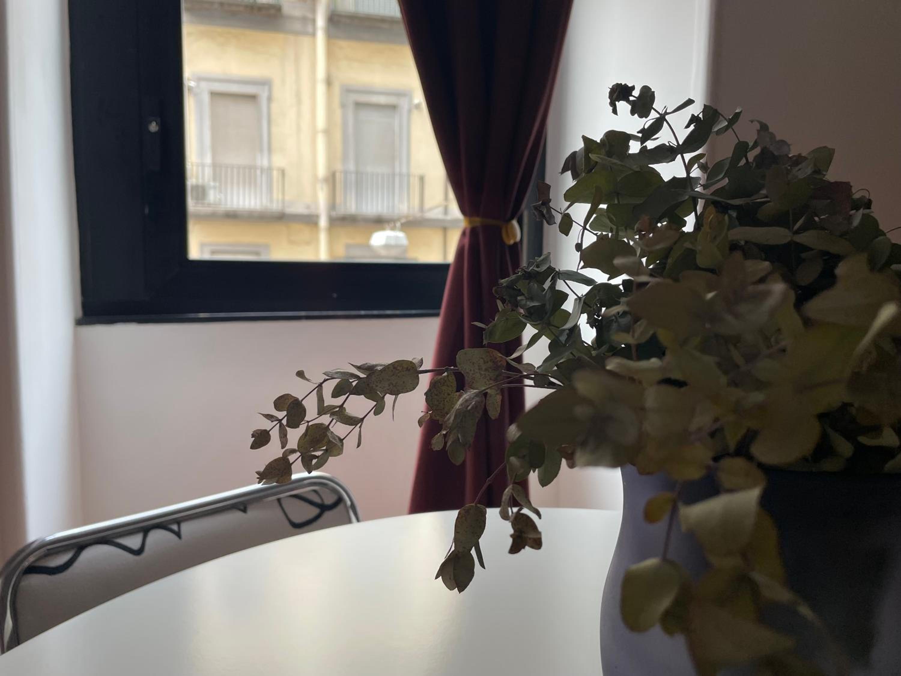 La finestra sul corso