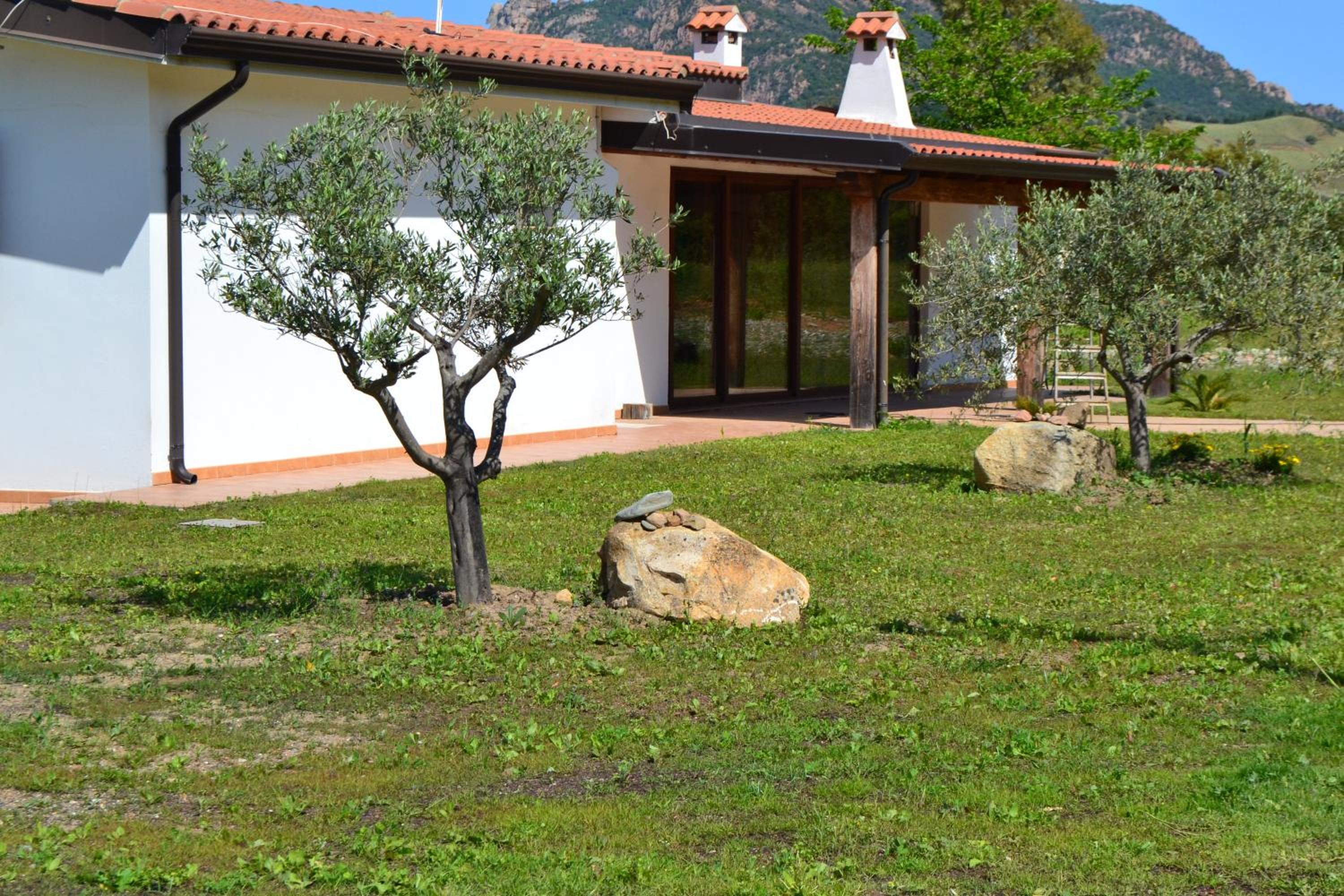 Photo 40