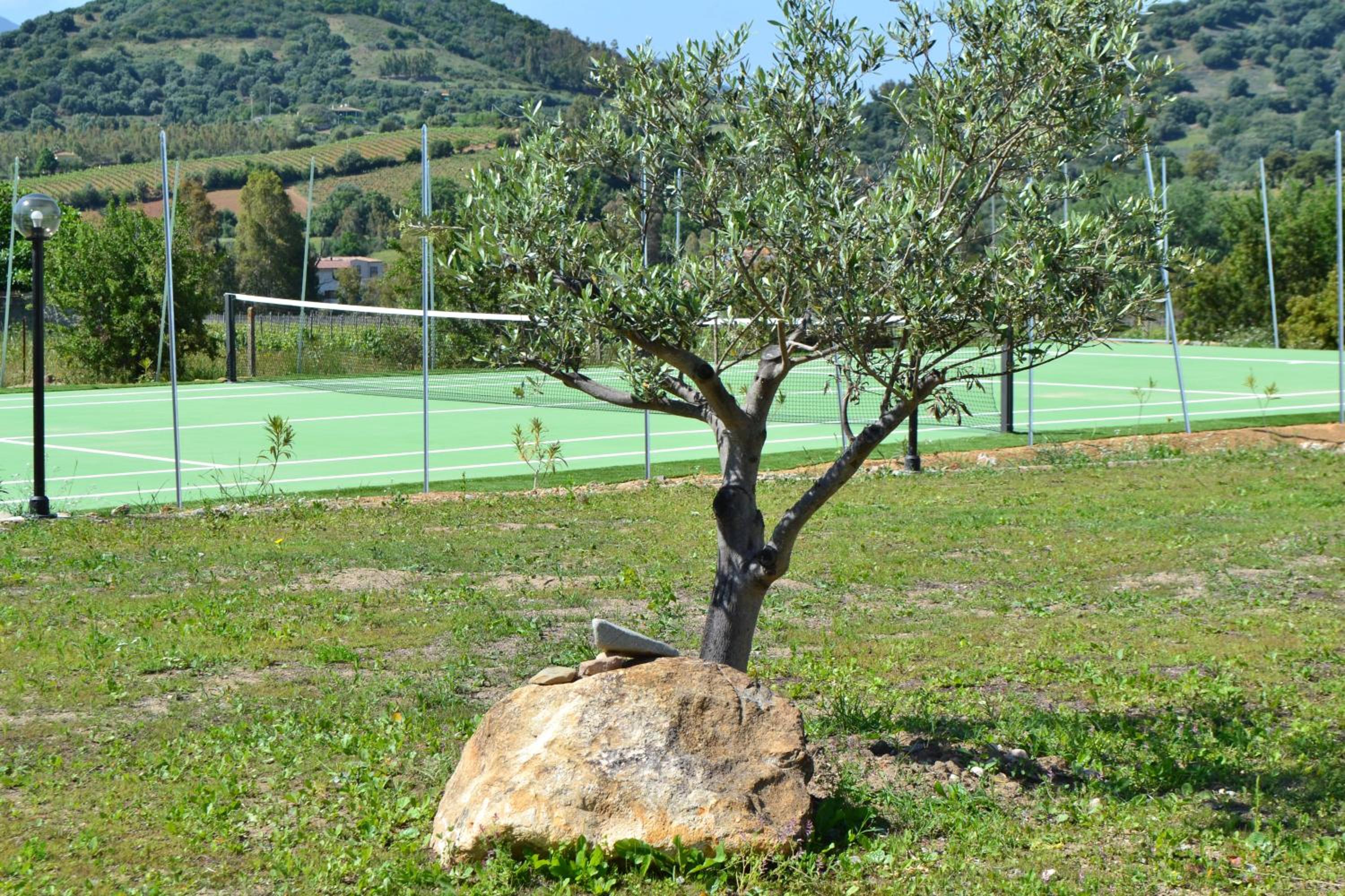 Photo 42