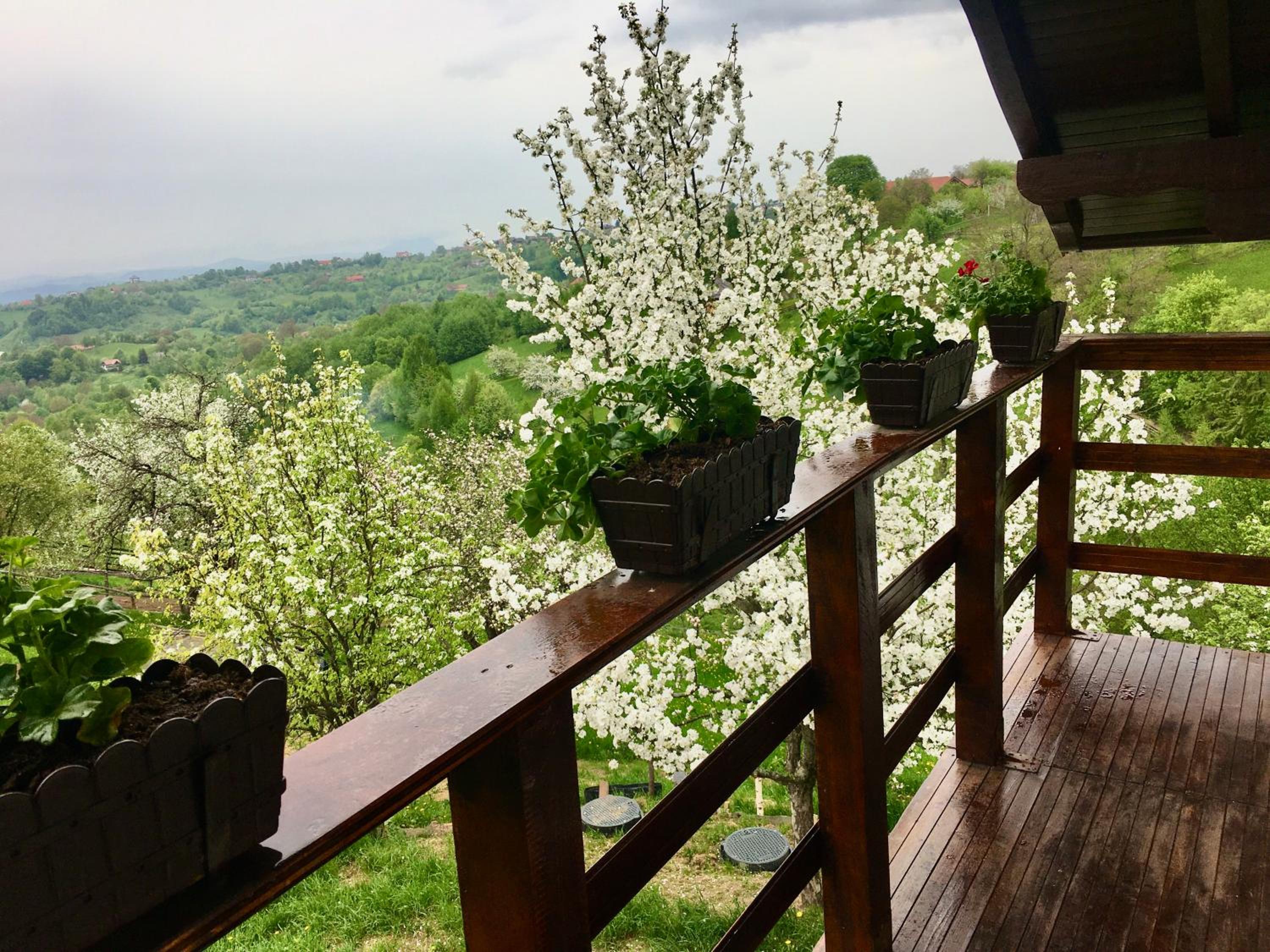 La Căsuță view 4