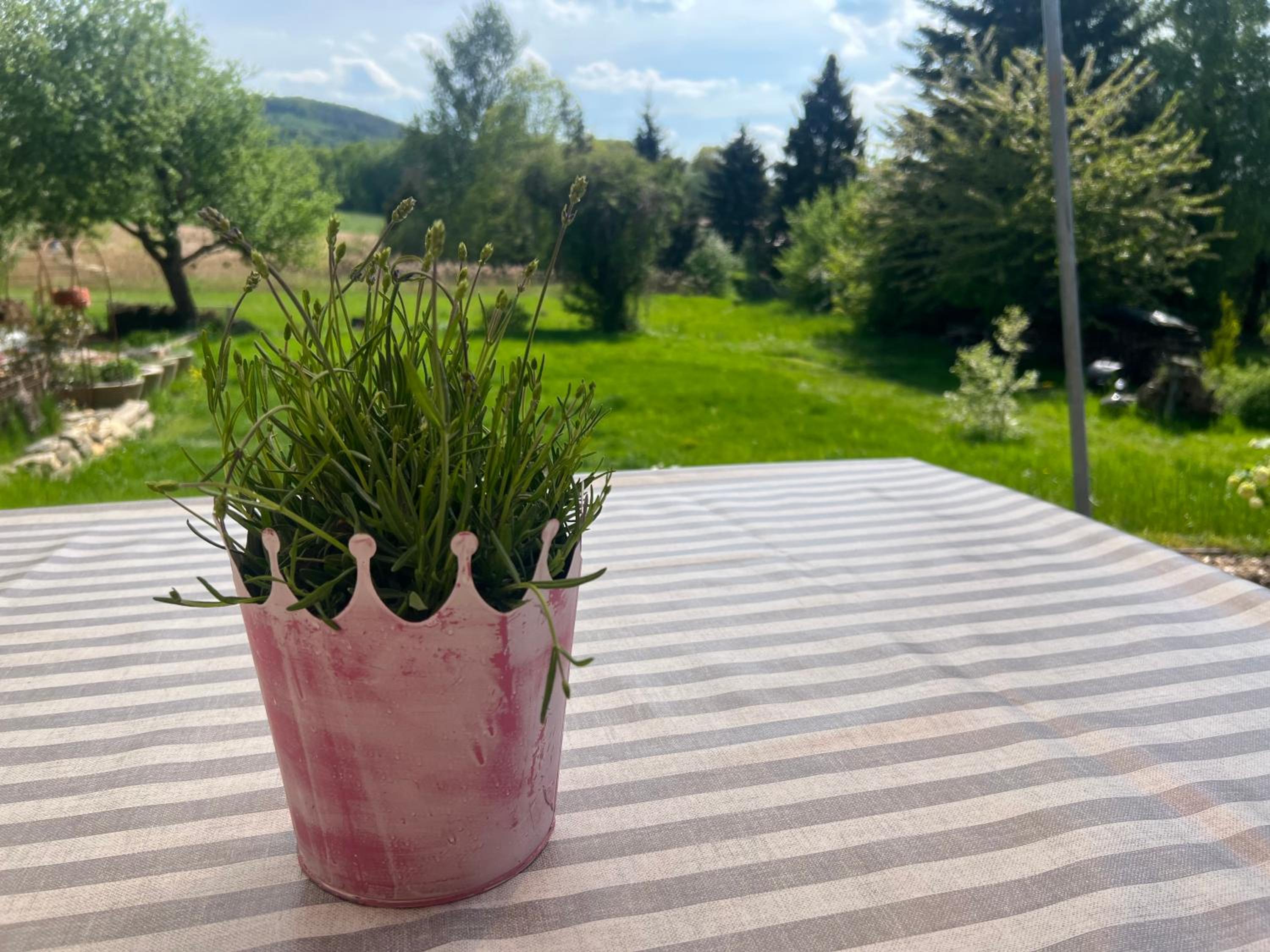 Piccola Casa