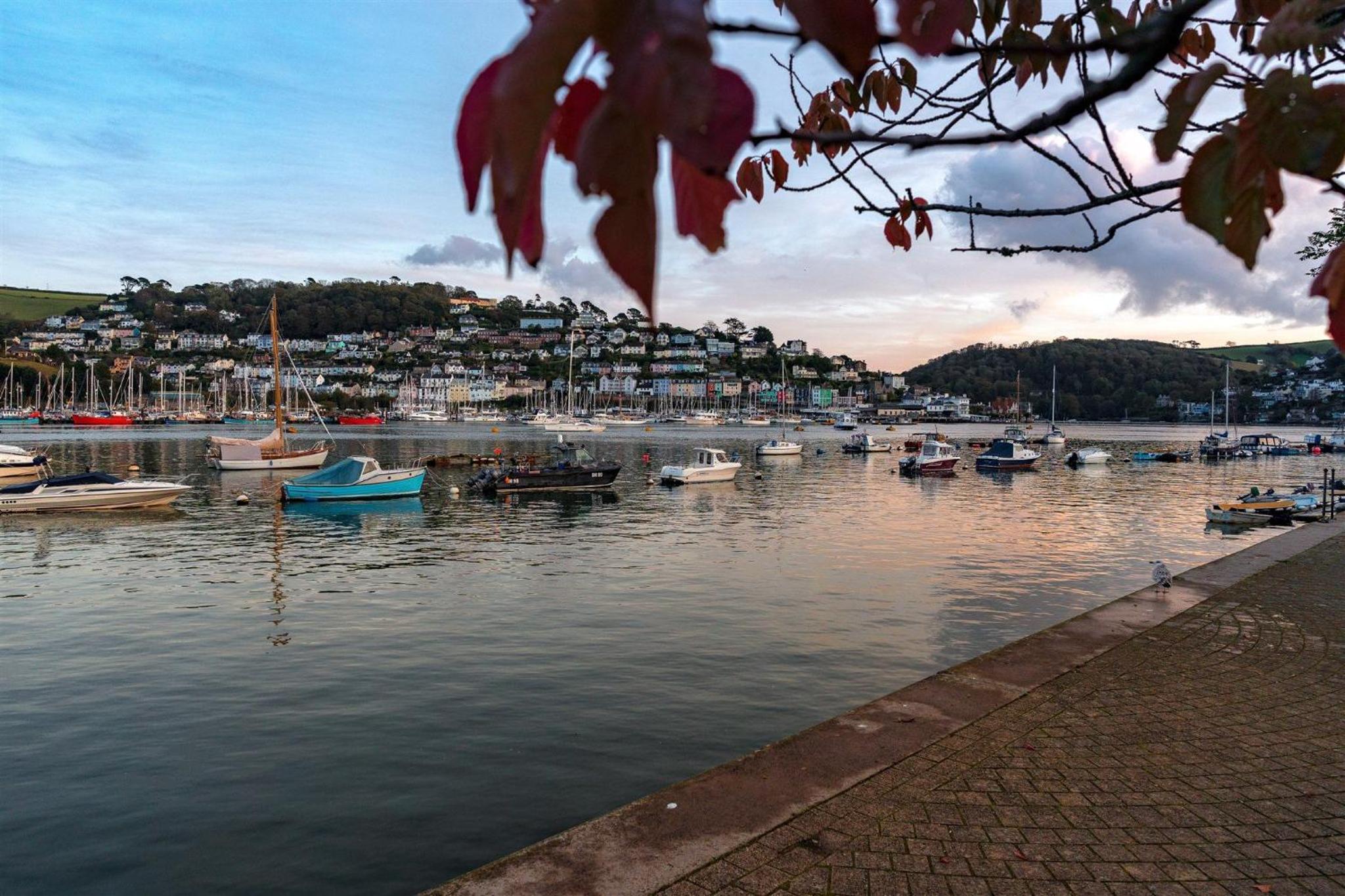 Captains Cottage - Stylish cottage, level location, in the heart of Dartmouth view 4