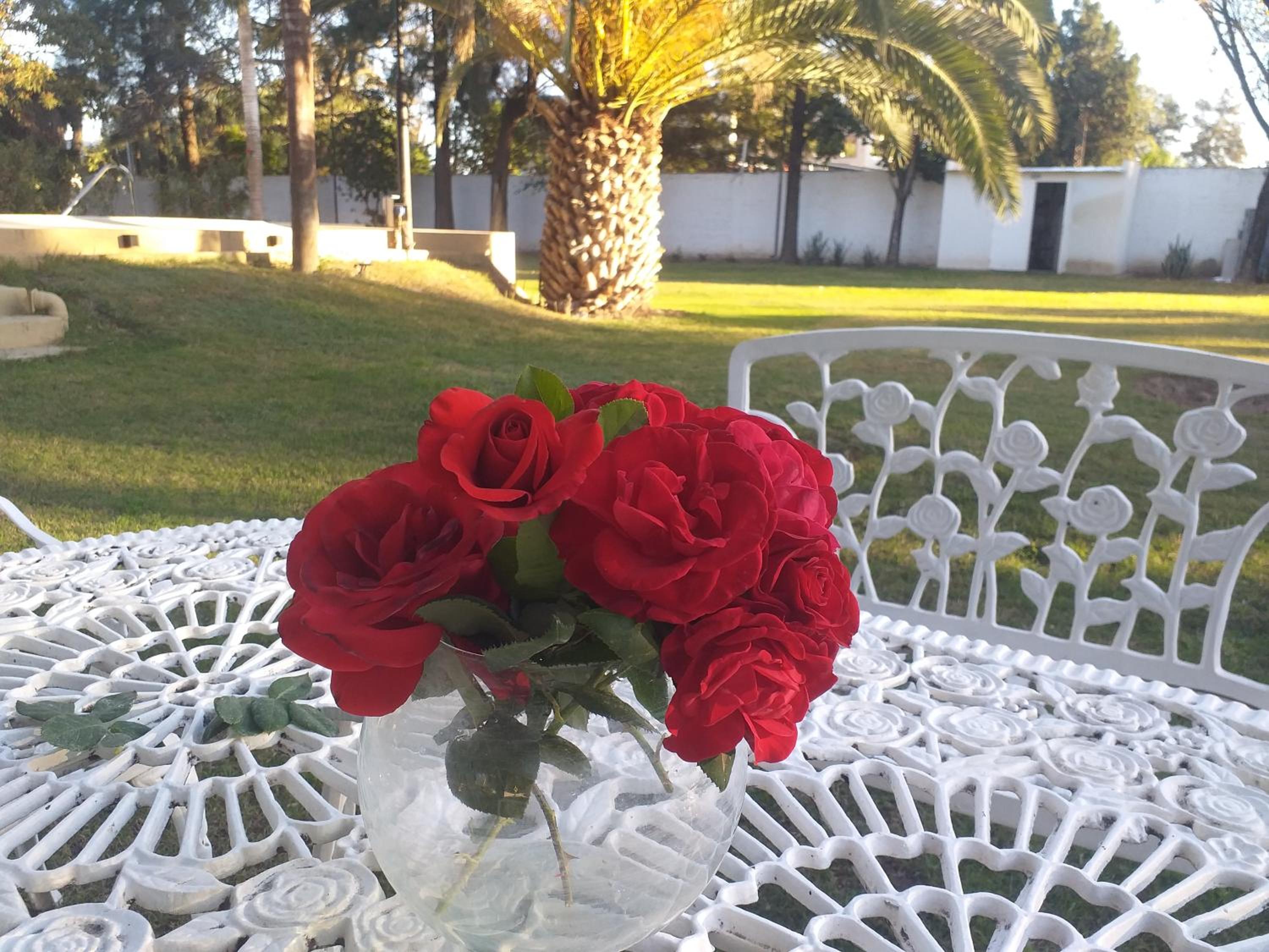 Finca con pileta vip , santiago del Estero