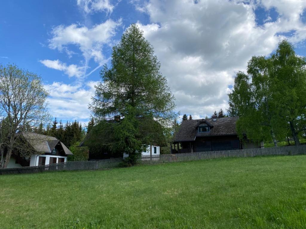 FERIENHAUS WALDTRAUM