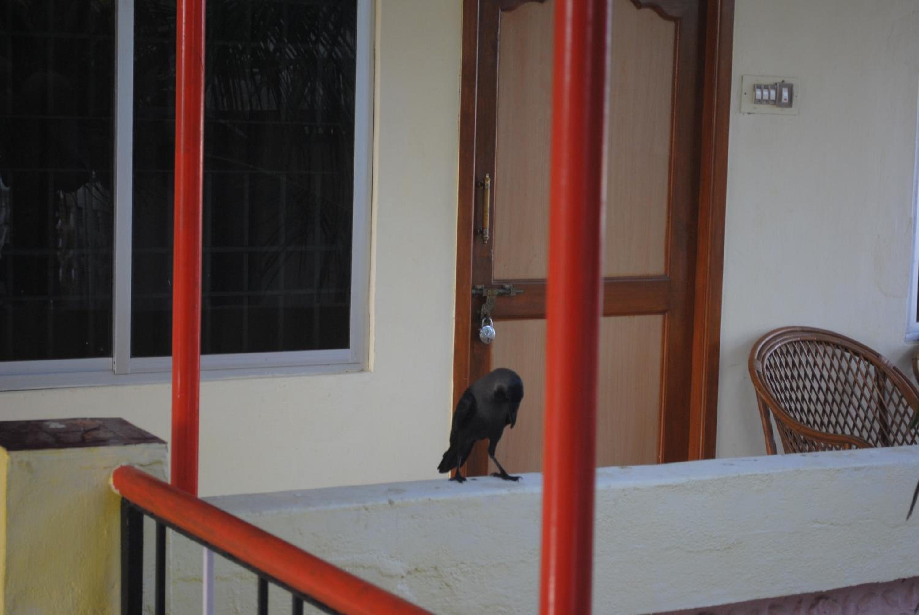 Vinodhara Guest House