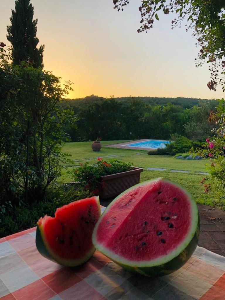 Residence Lucignano view 4