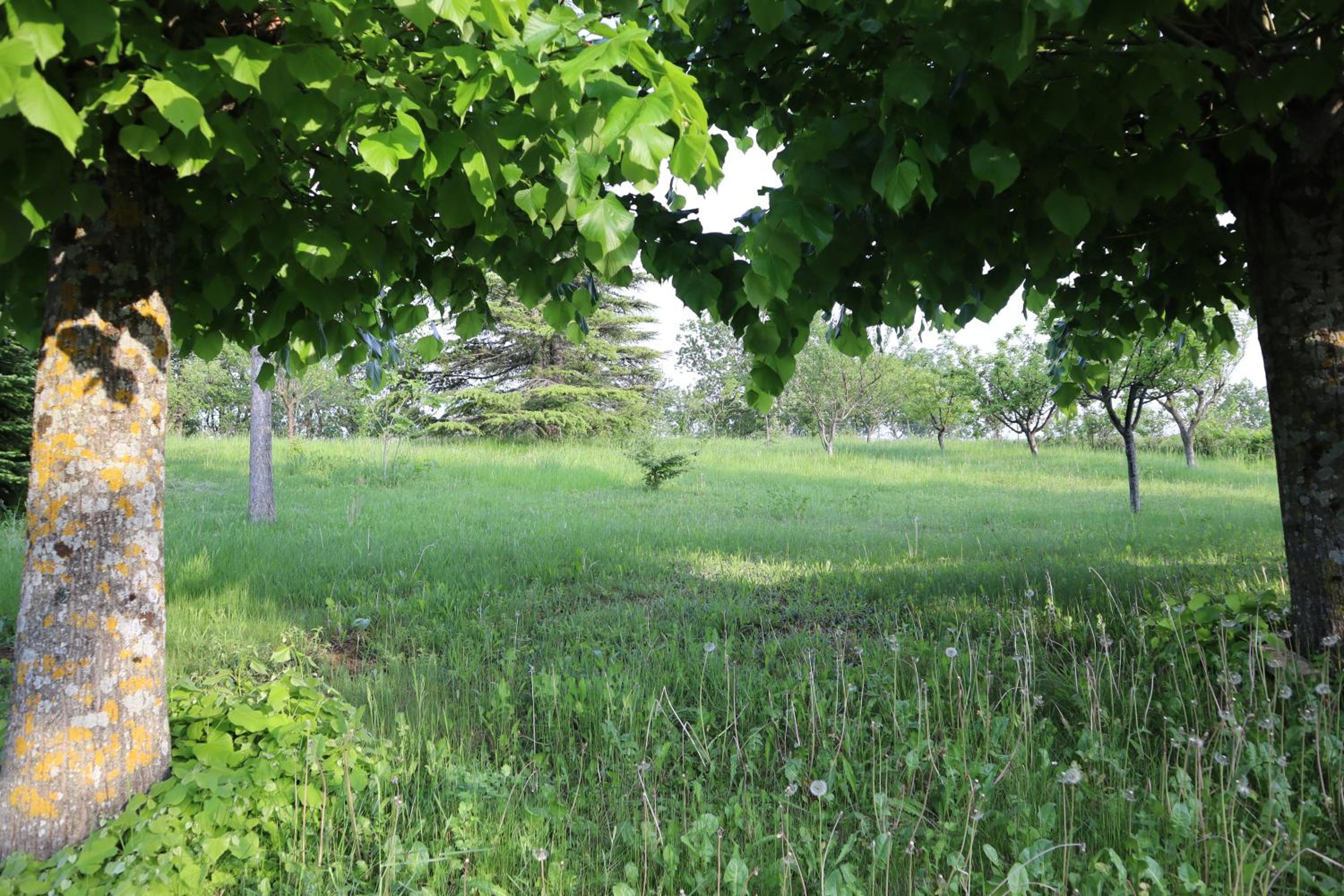 Photo 25
