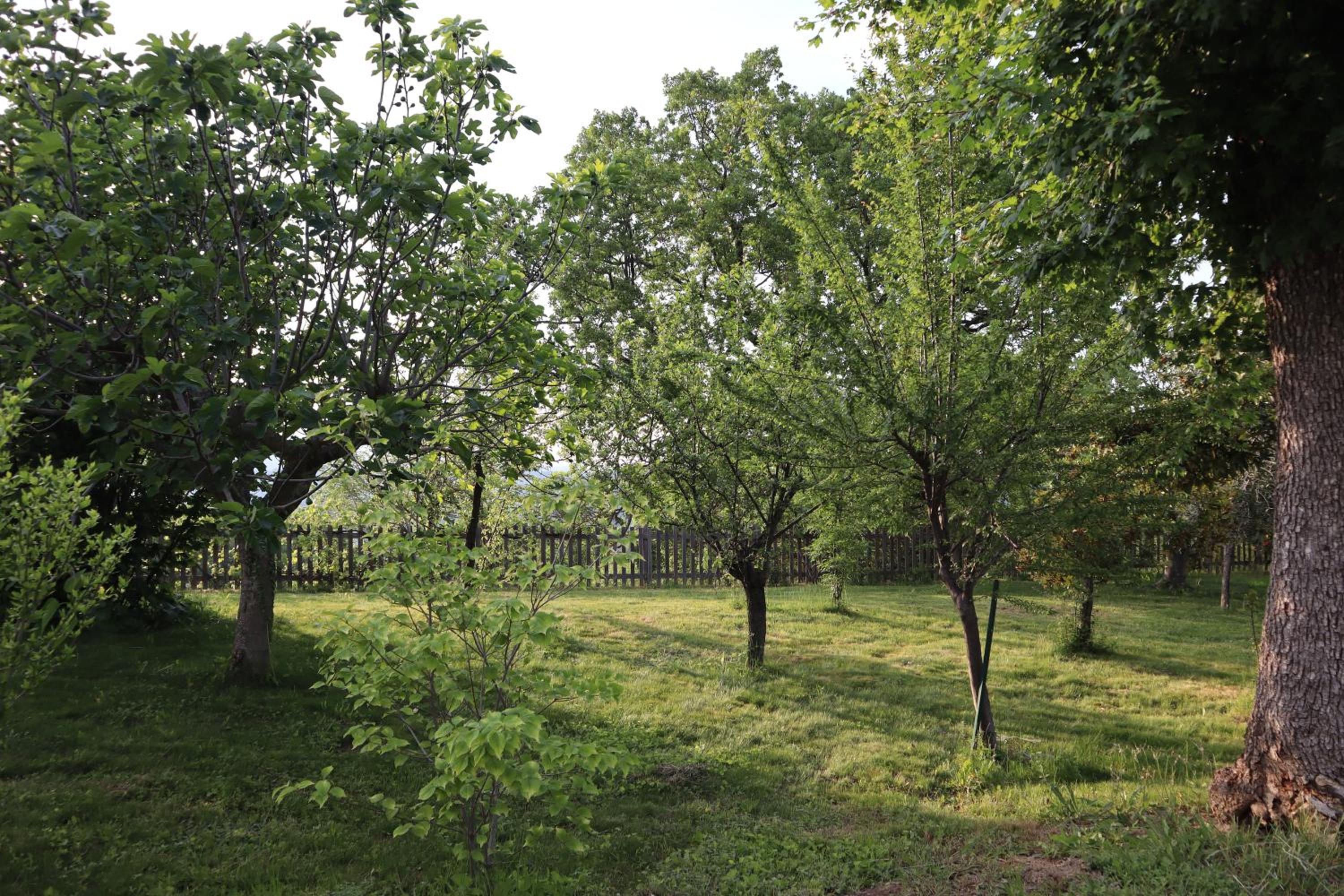 Photo 24