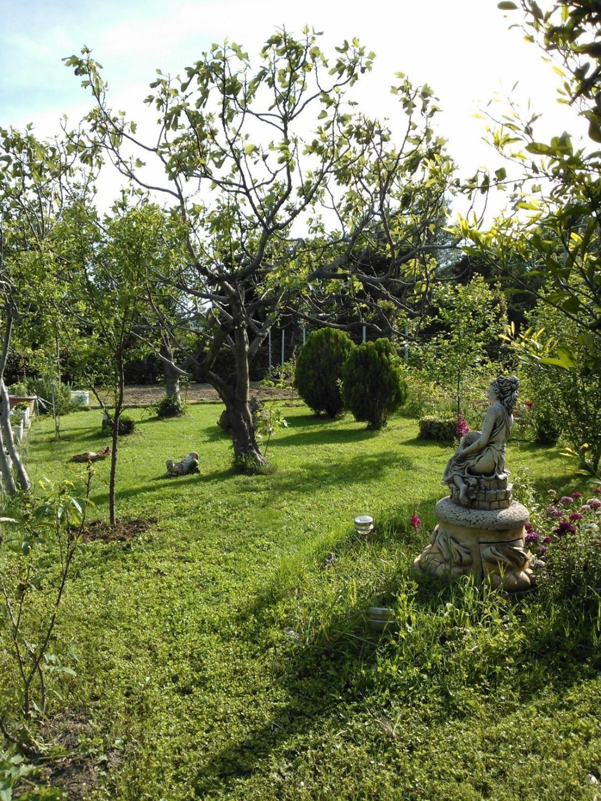 Photo 52
