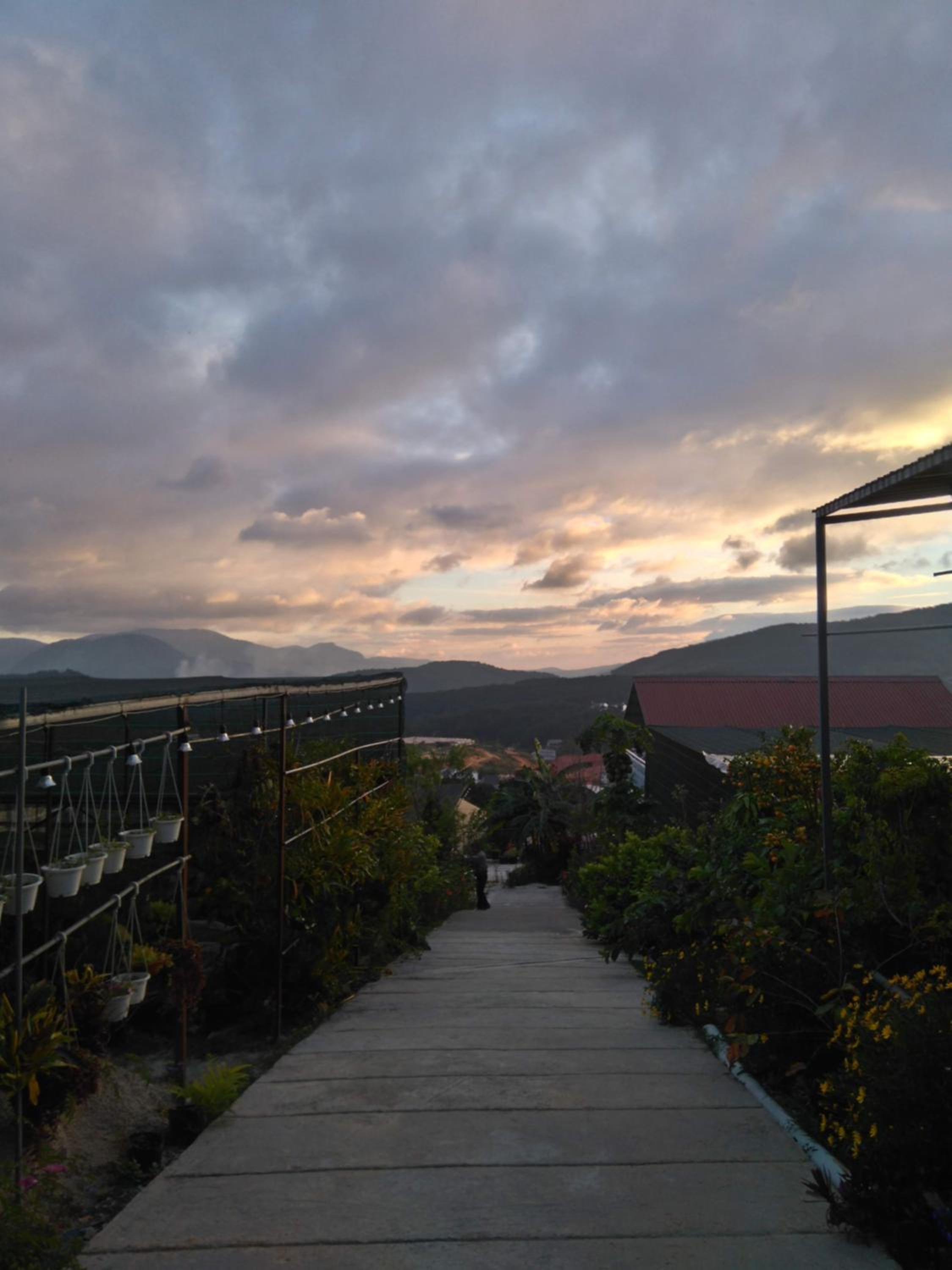Moonlight Homestay view 4