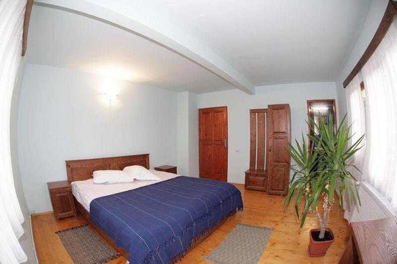 Casa dintre Vii view 2