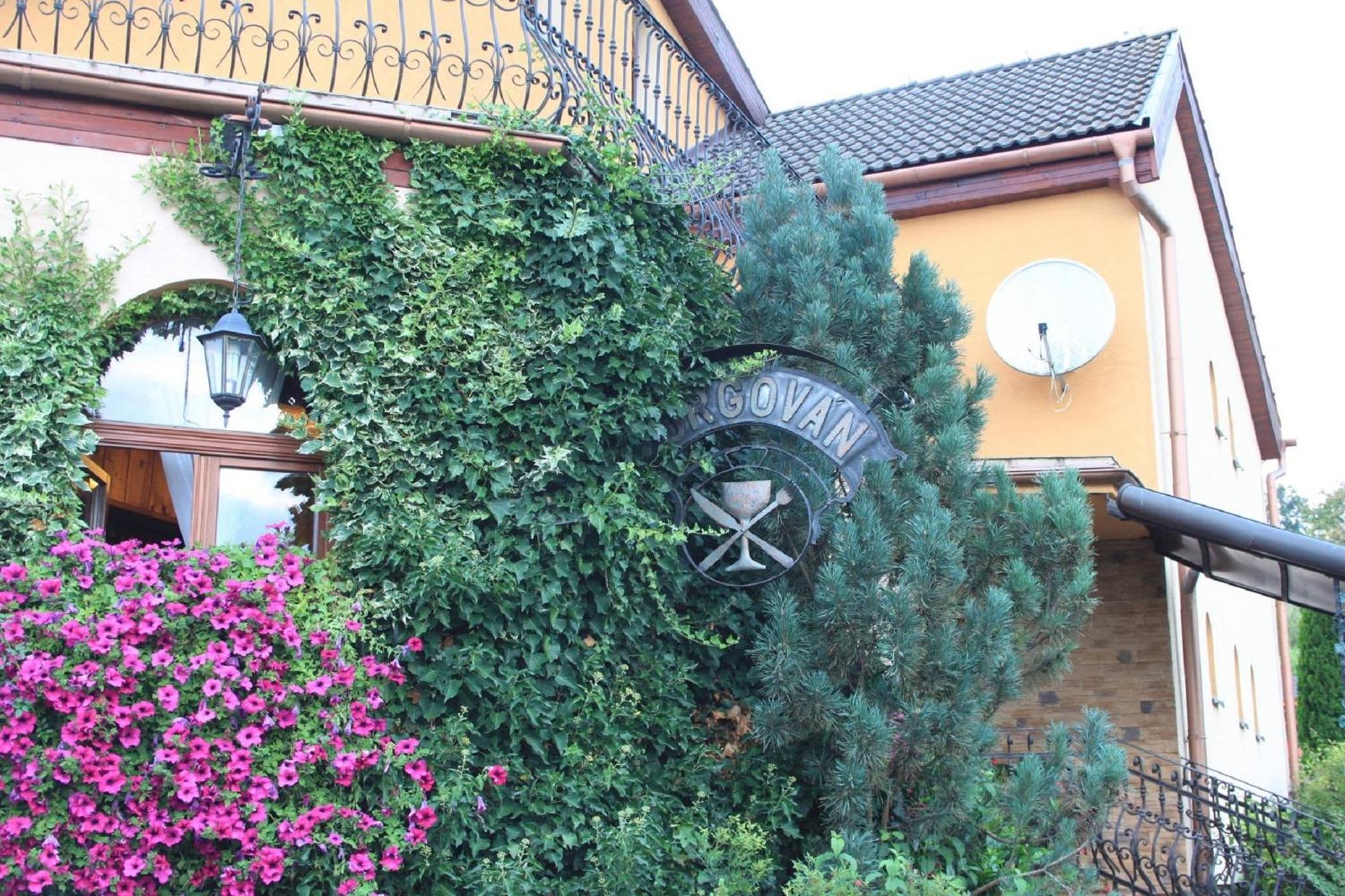 Photo 9
