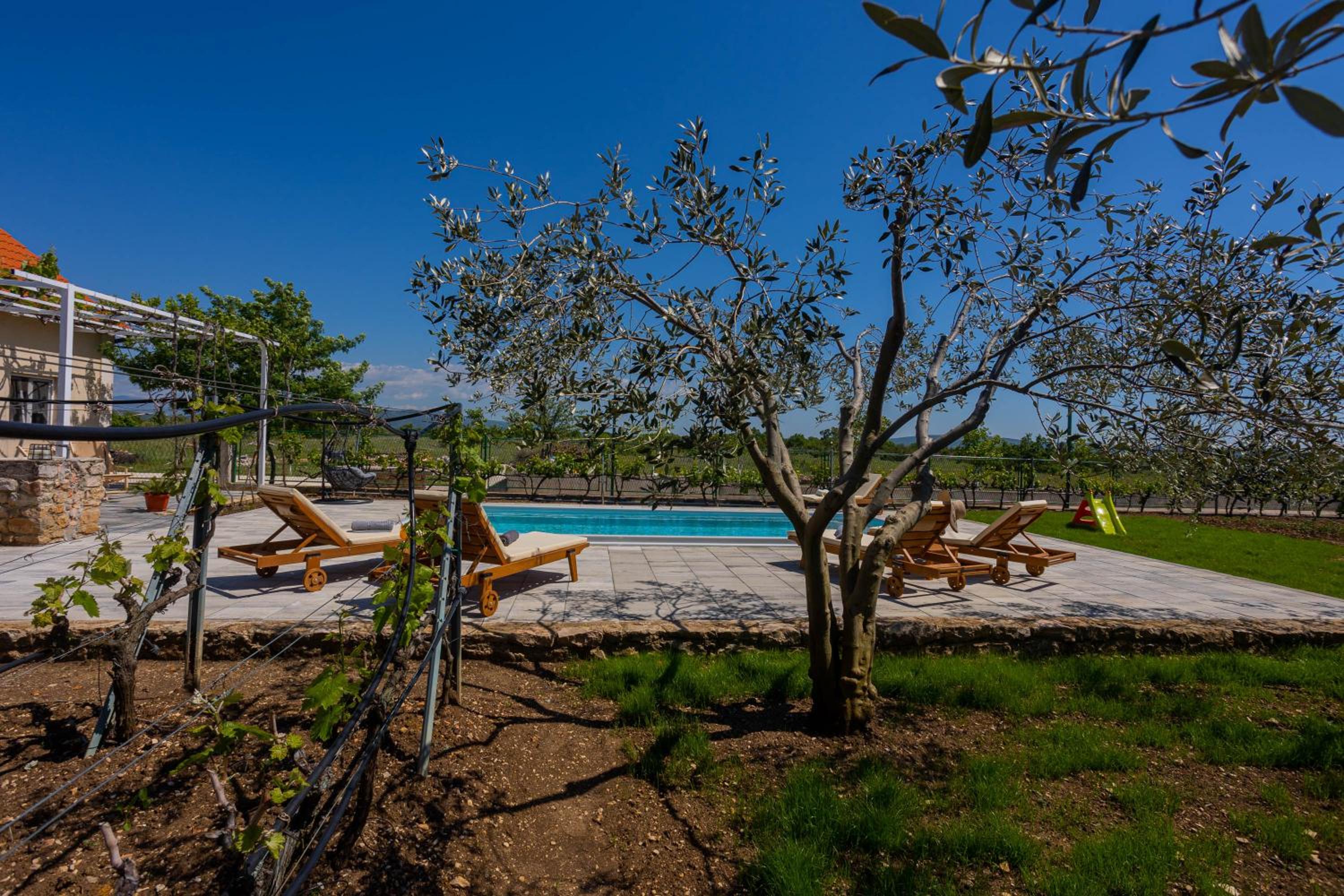 Holiday house Olive Tree view 3