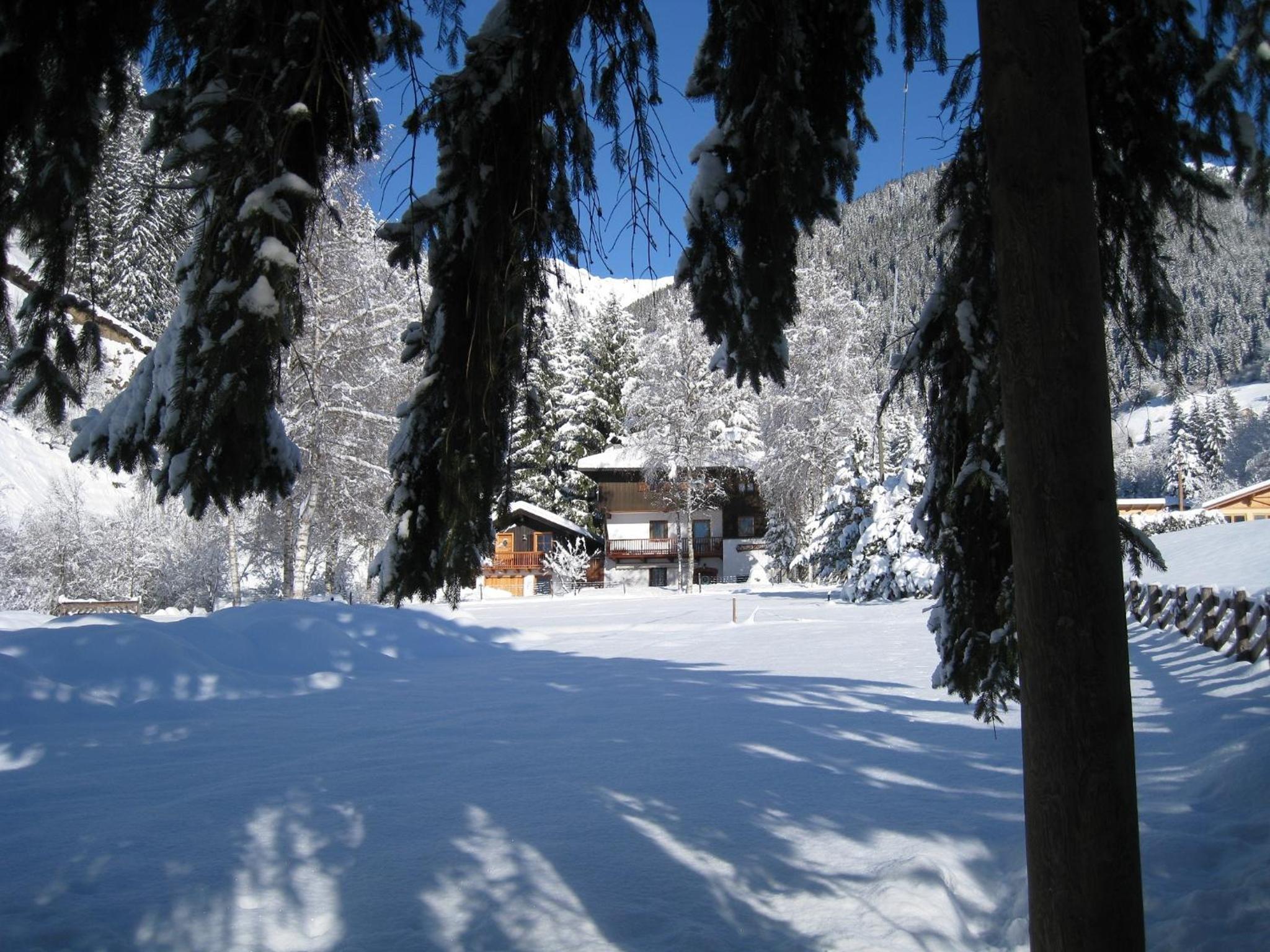 Photo 23