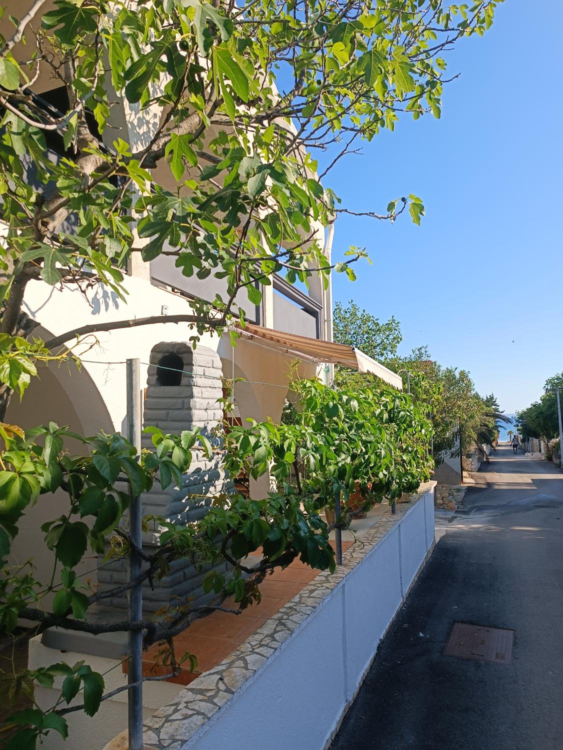 Apartments Branka- 4 apartments in house- 1 apartment has jacuzzi view 2