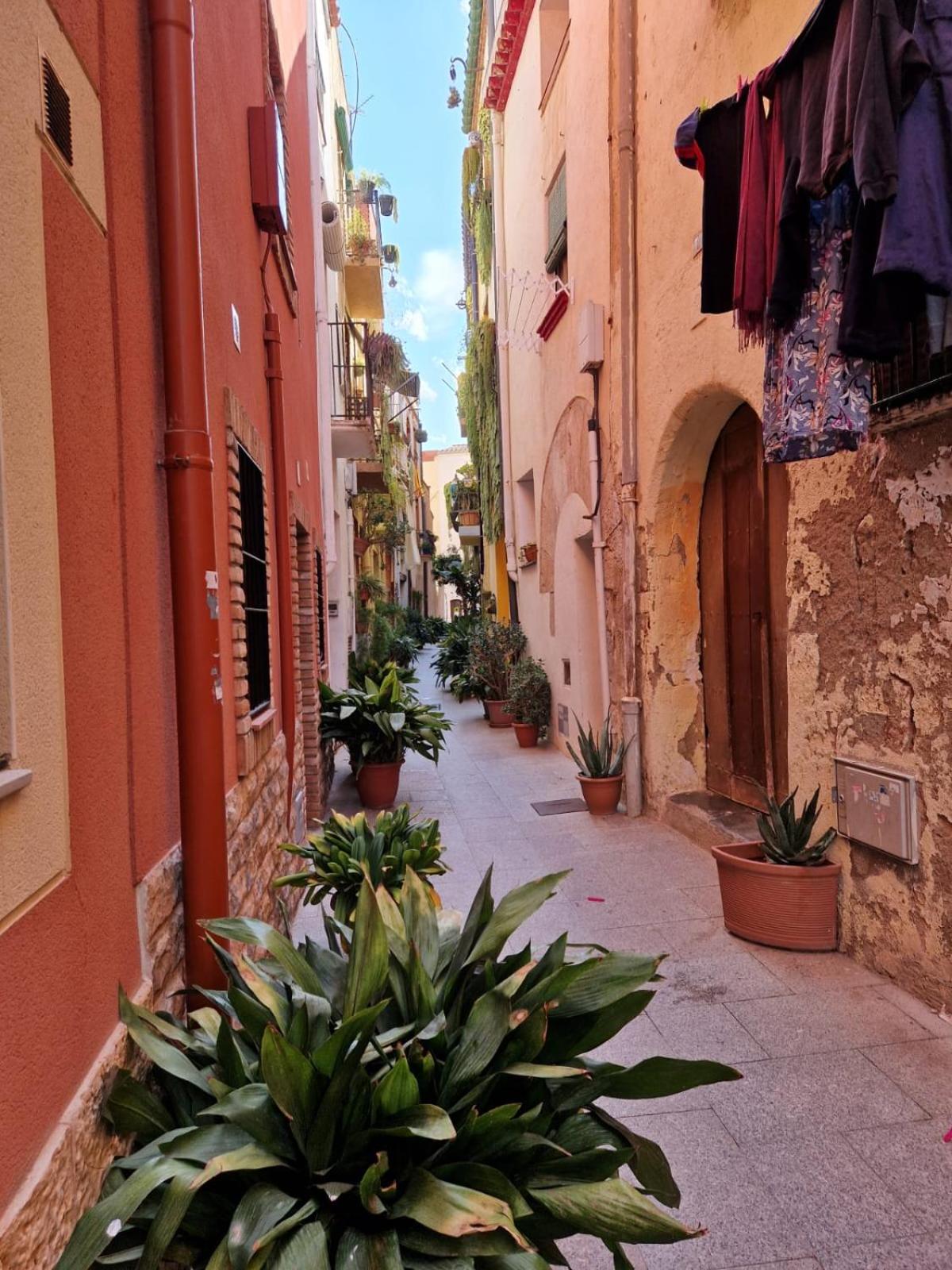 Apartamentosbiamar