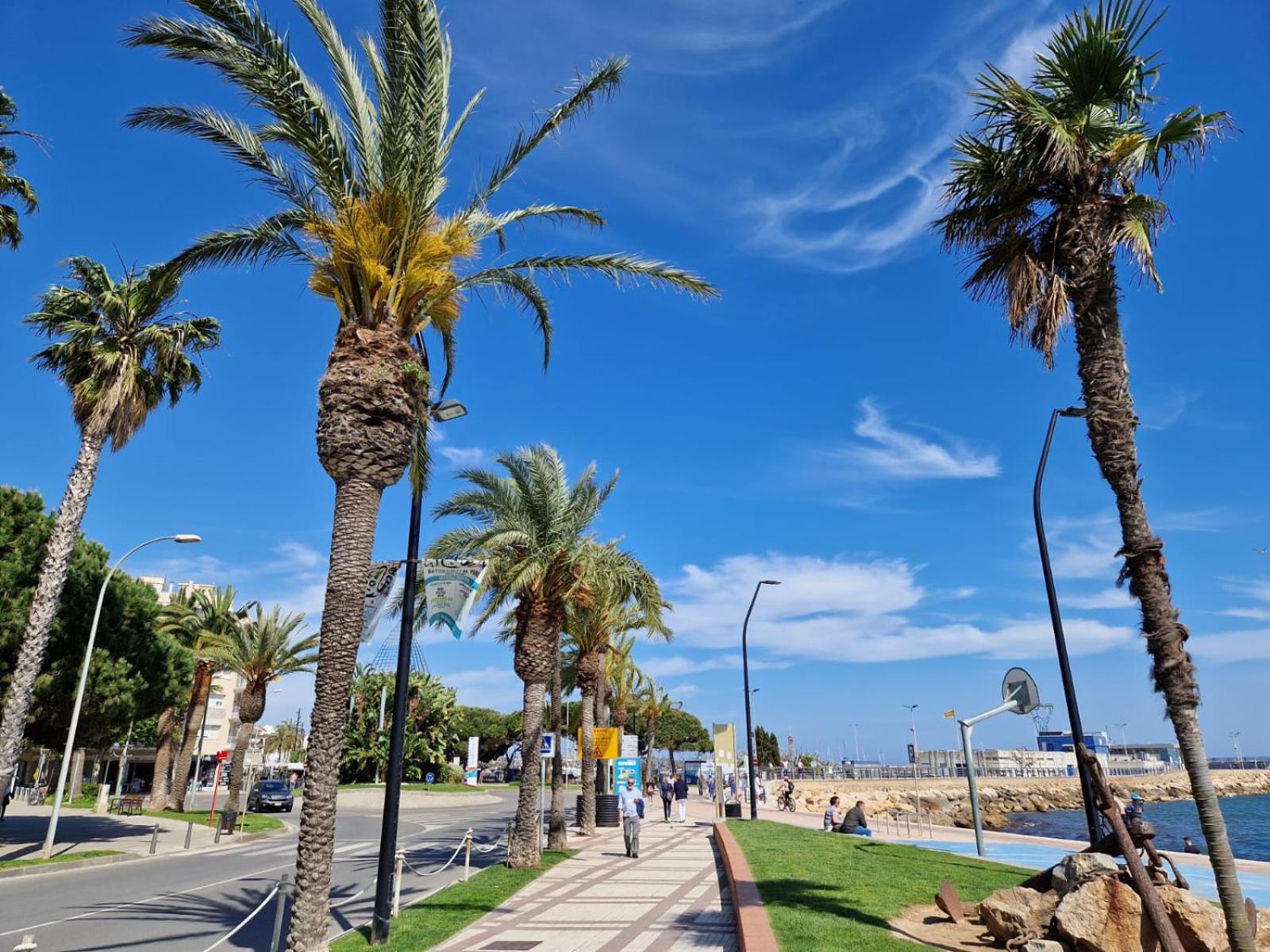 Apartamentosbiamar