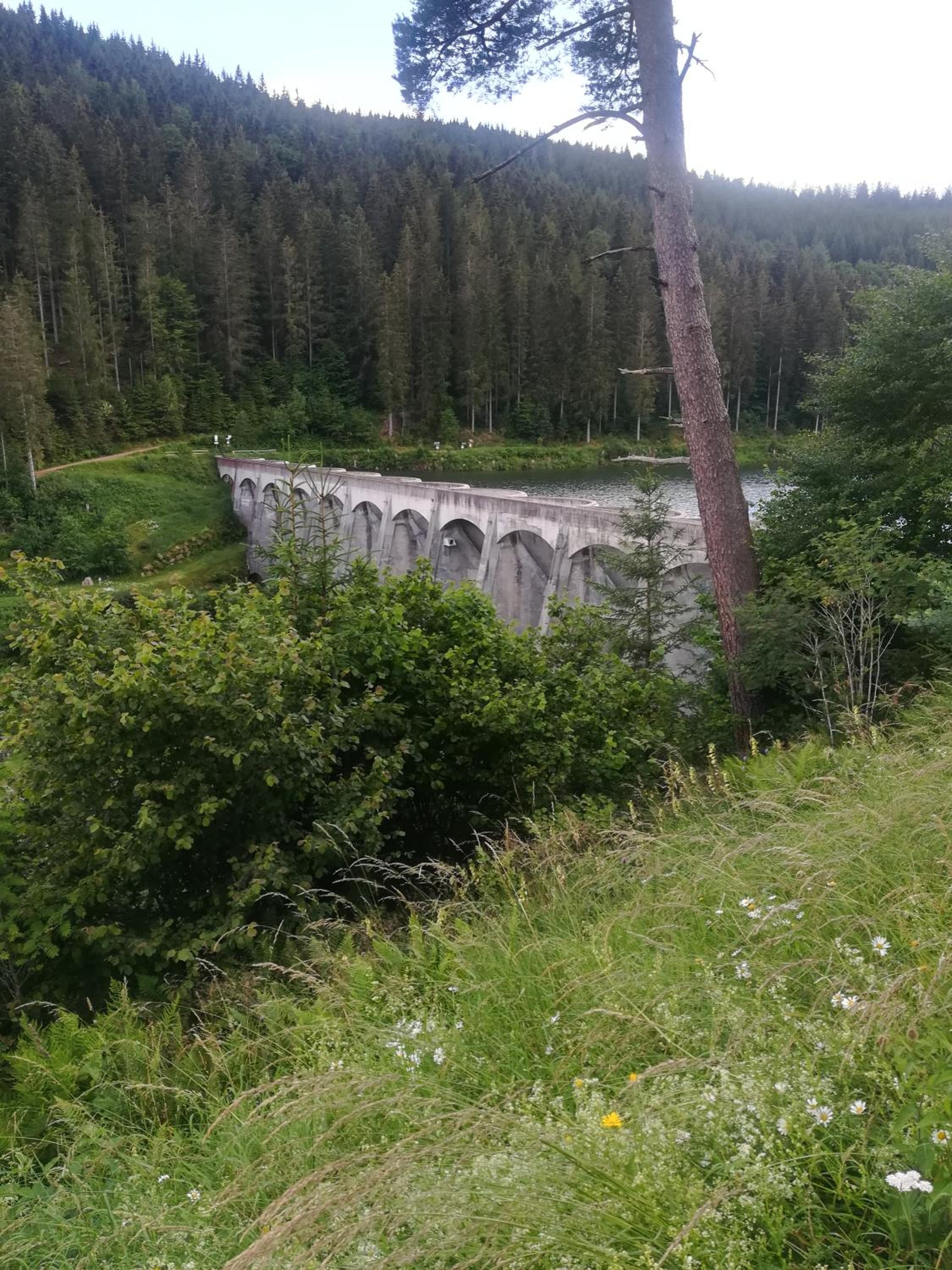 Photo 26