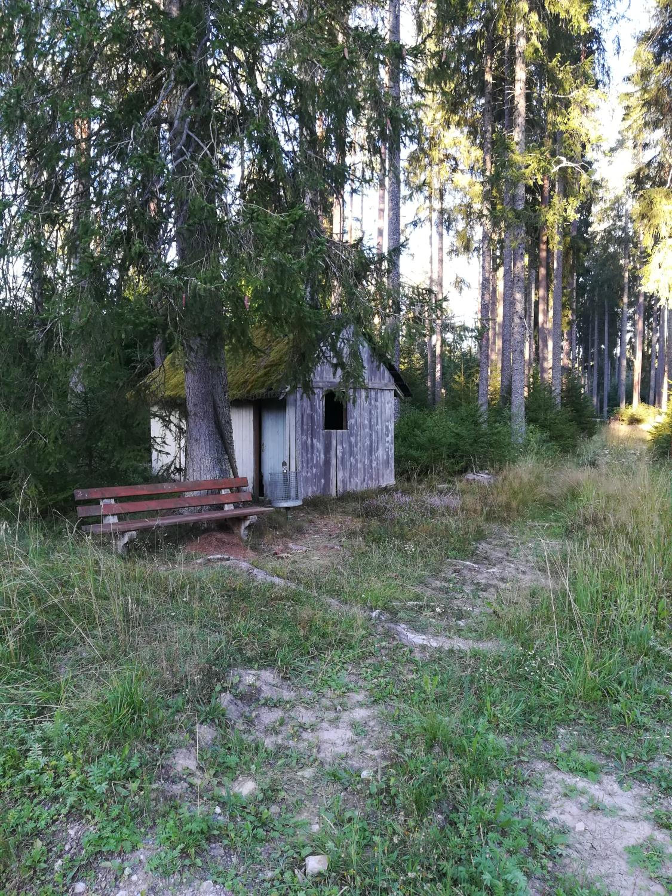 Photo 25