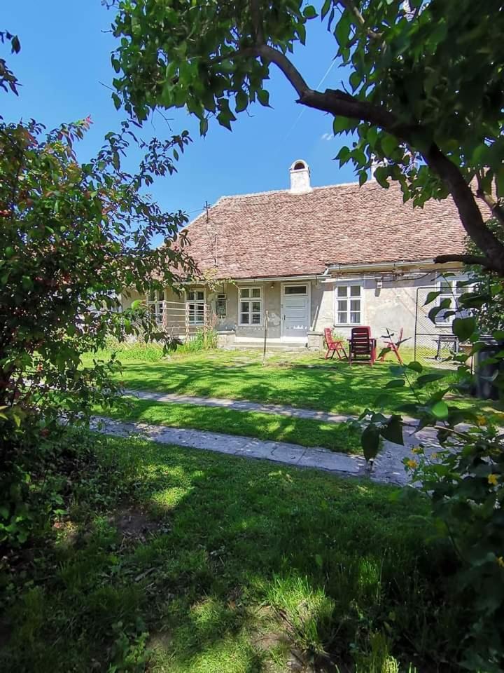 Photo 17