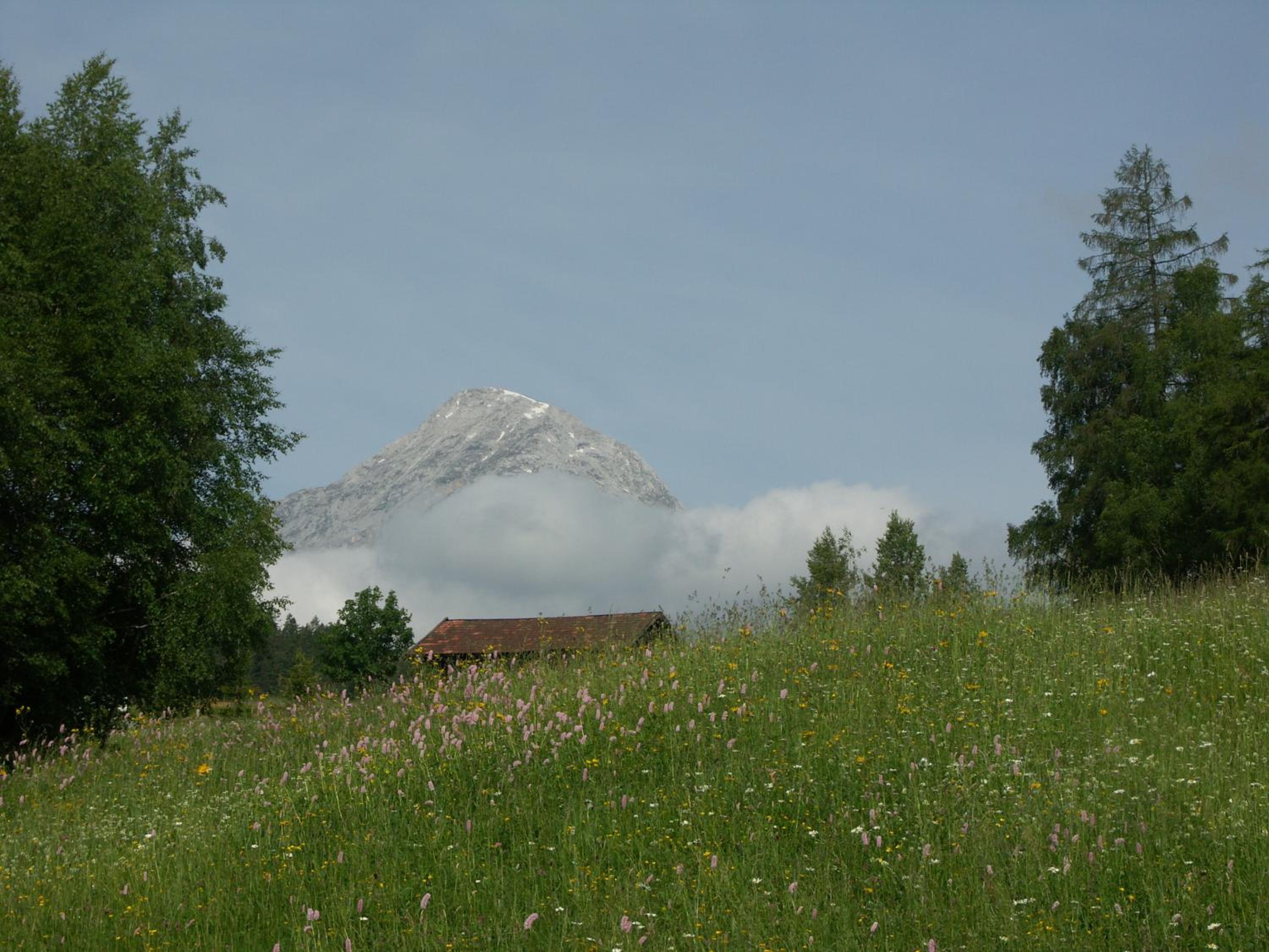 Gasthof Ramona