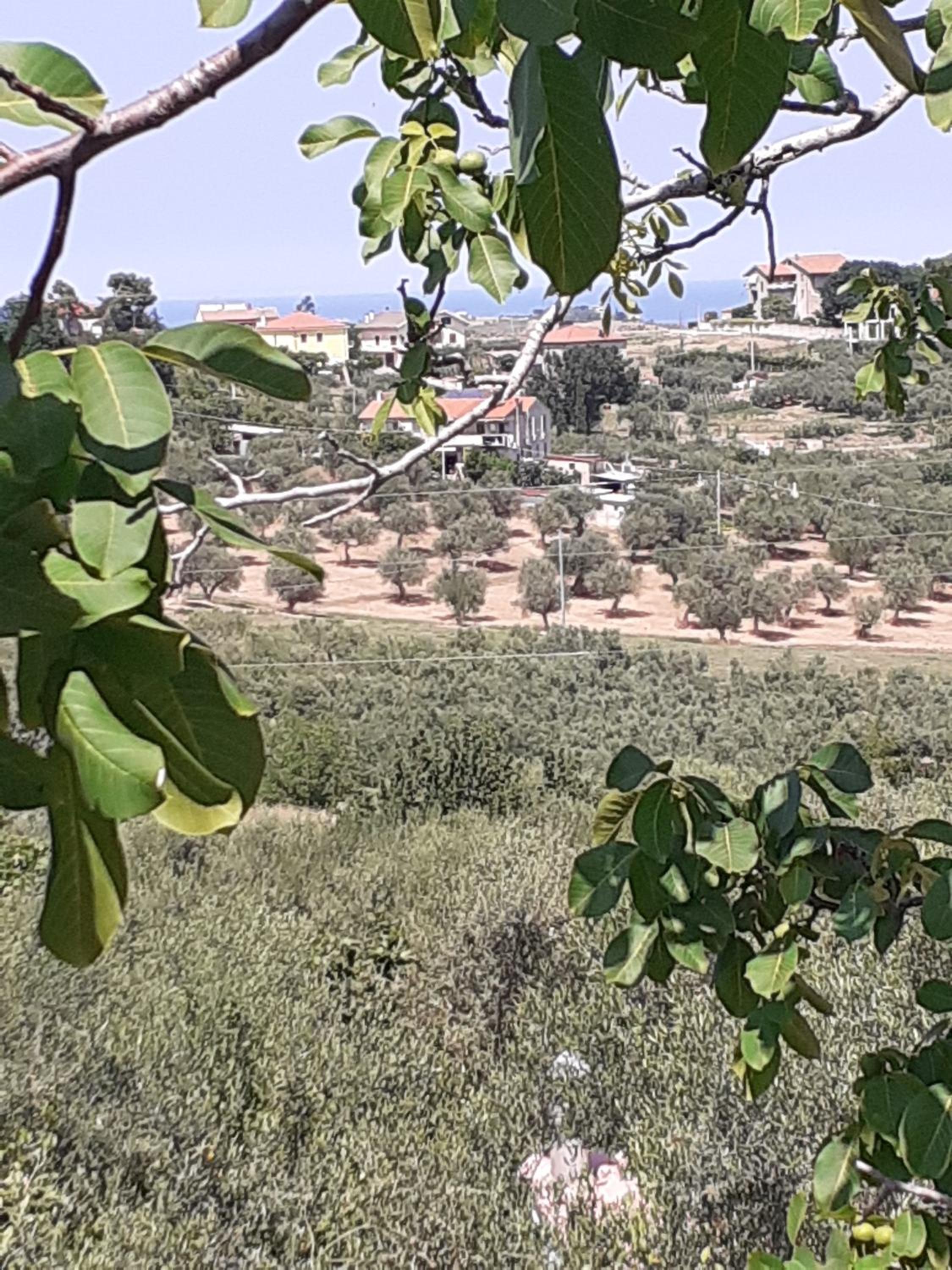 Il Giardino degli Ulivi photo 2
