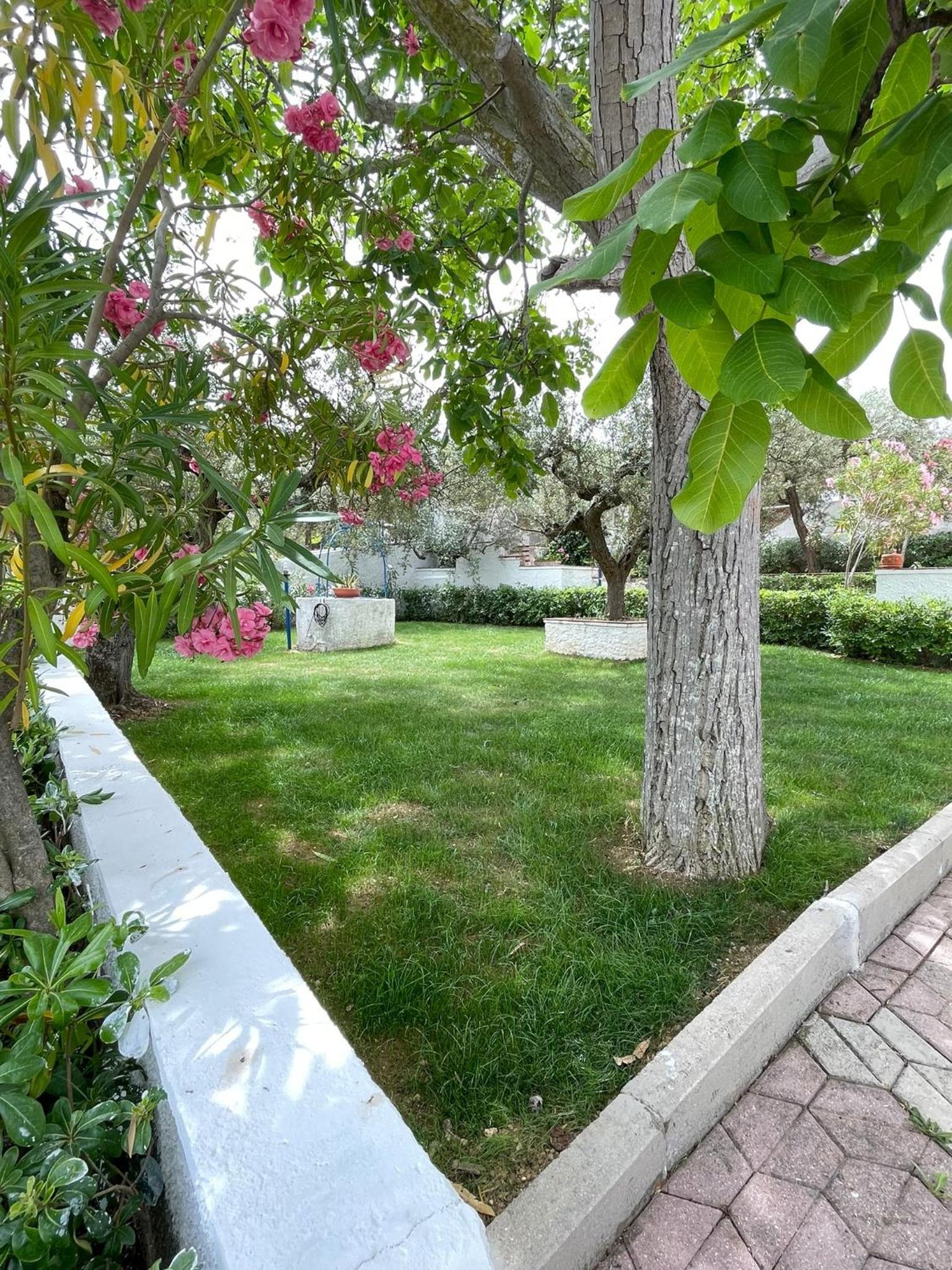 Photo 45