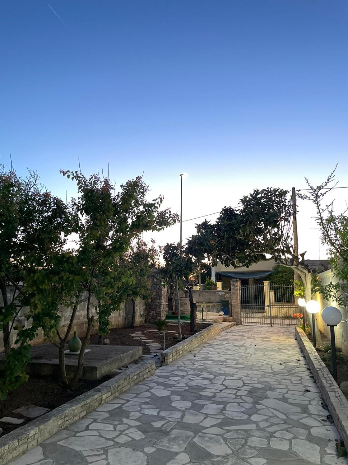 Photo 25