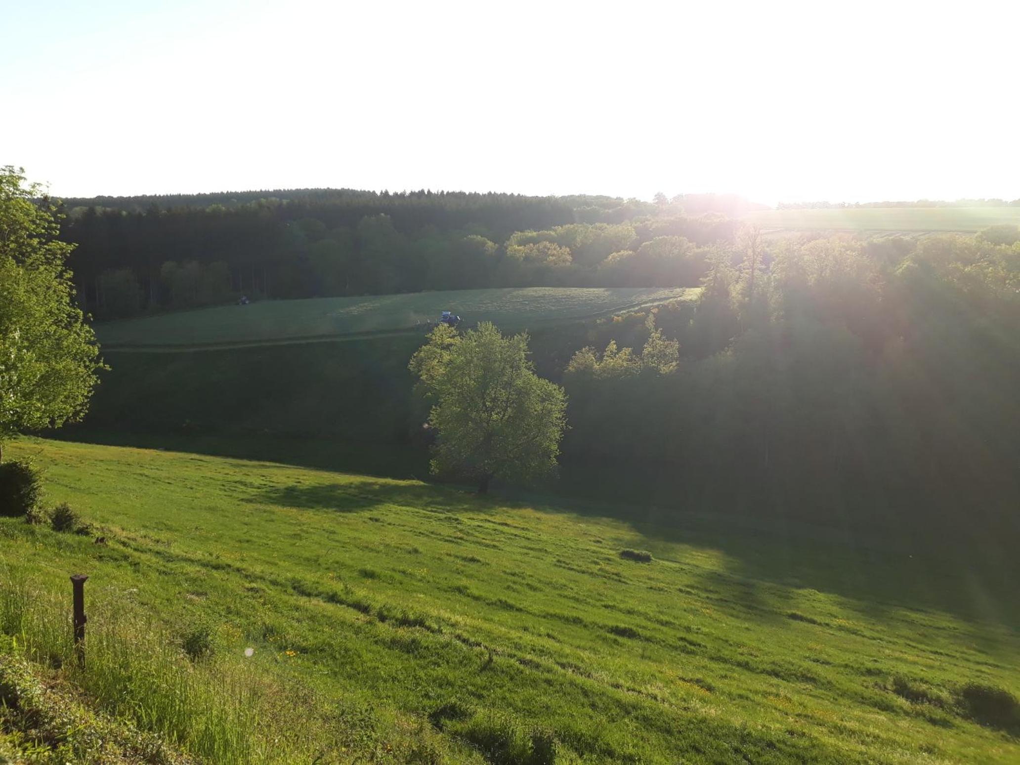 L'Harmonie du Jardin Gîte
