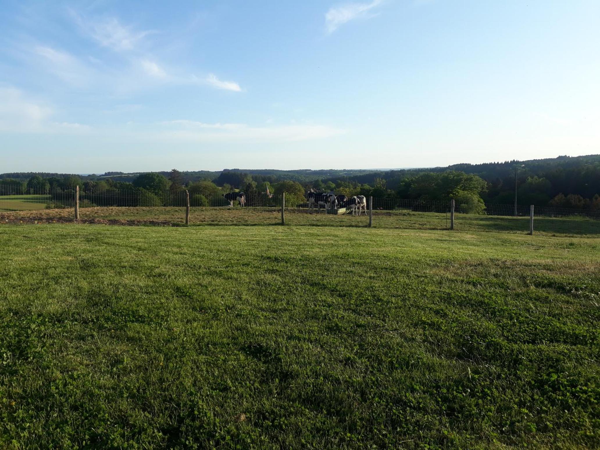 L'Harmonie du Jardin Gîte