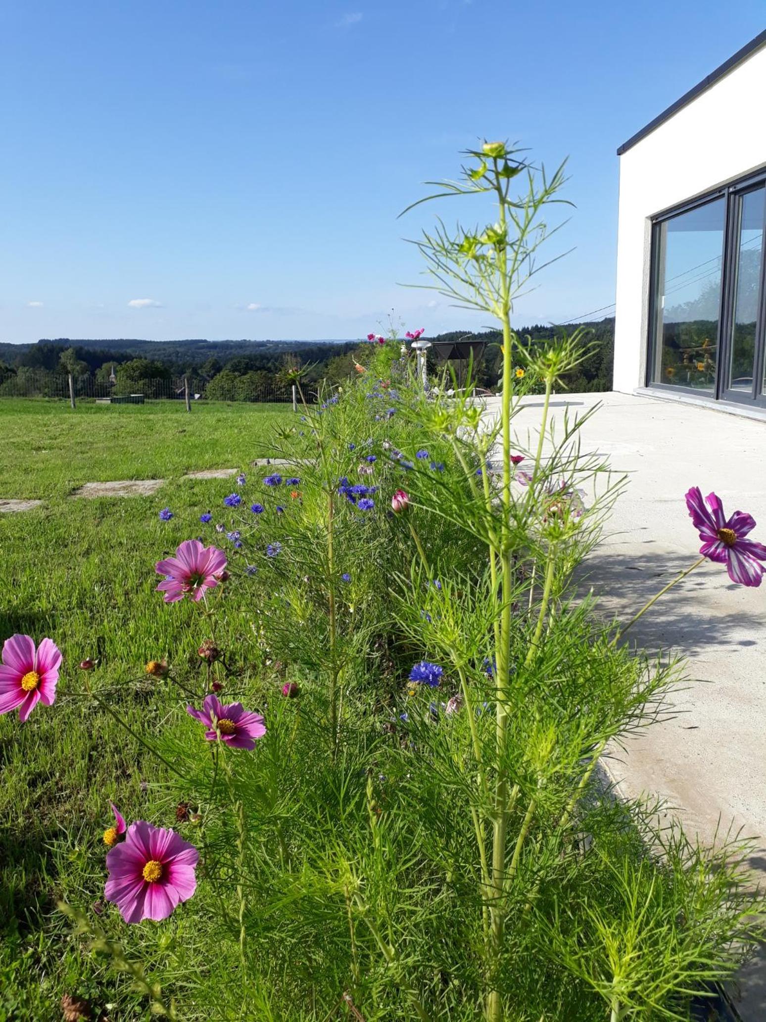 L'Harmonie du Jardin Gîte