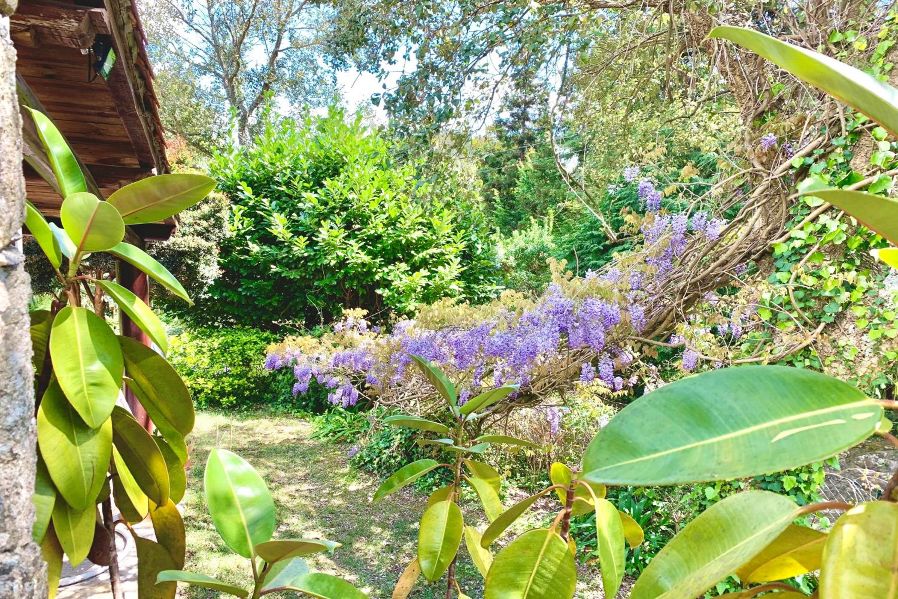 Villa Esquina 204 - Connected With Nature- uChill