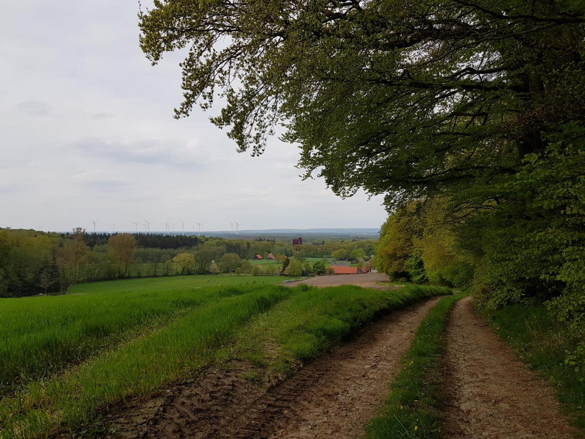 Photo 19