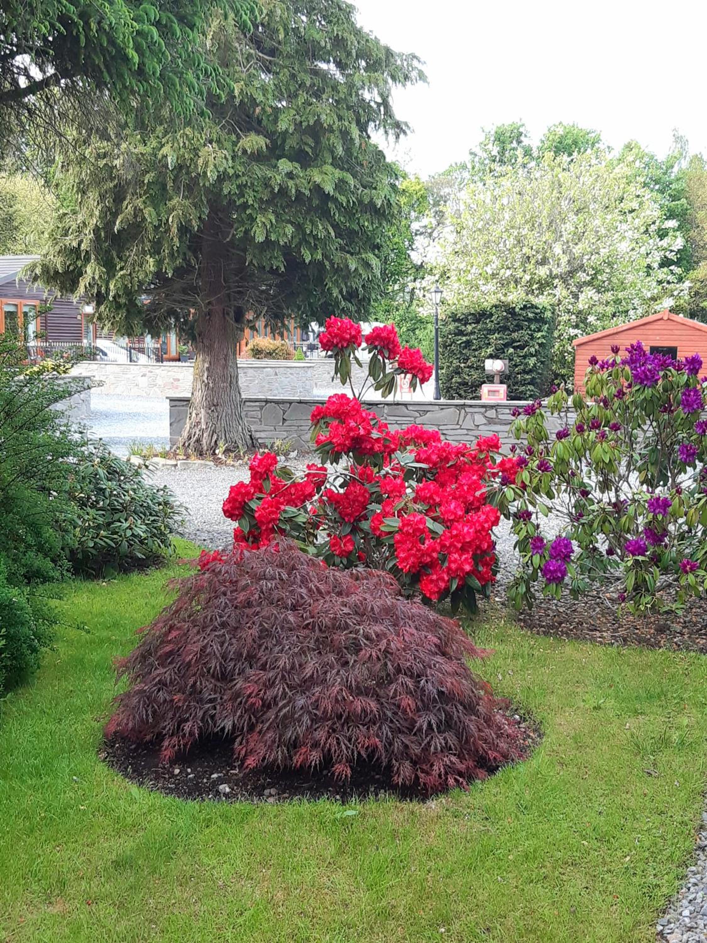 Willow Lodge Auchterarder view 4