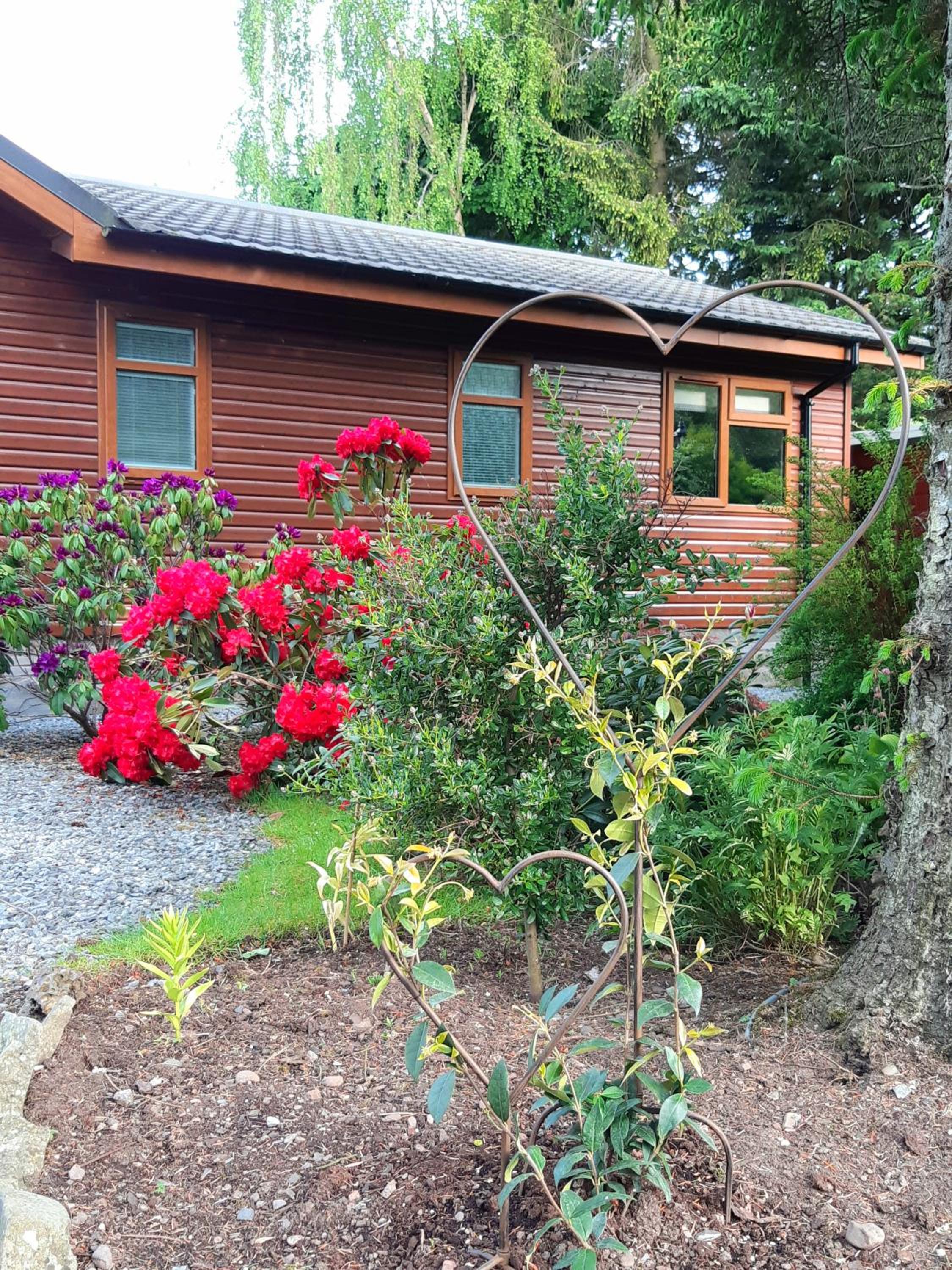Willow Lodge Auchterarder view 5