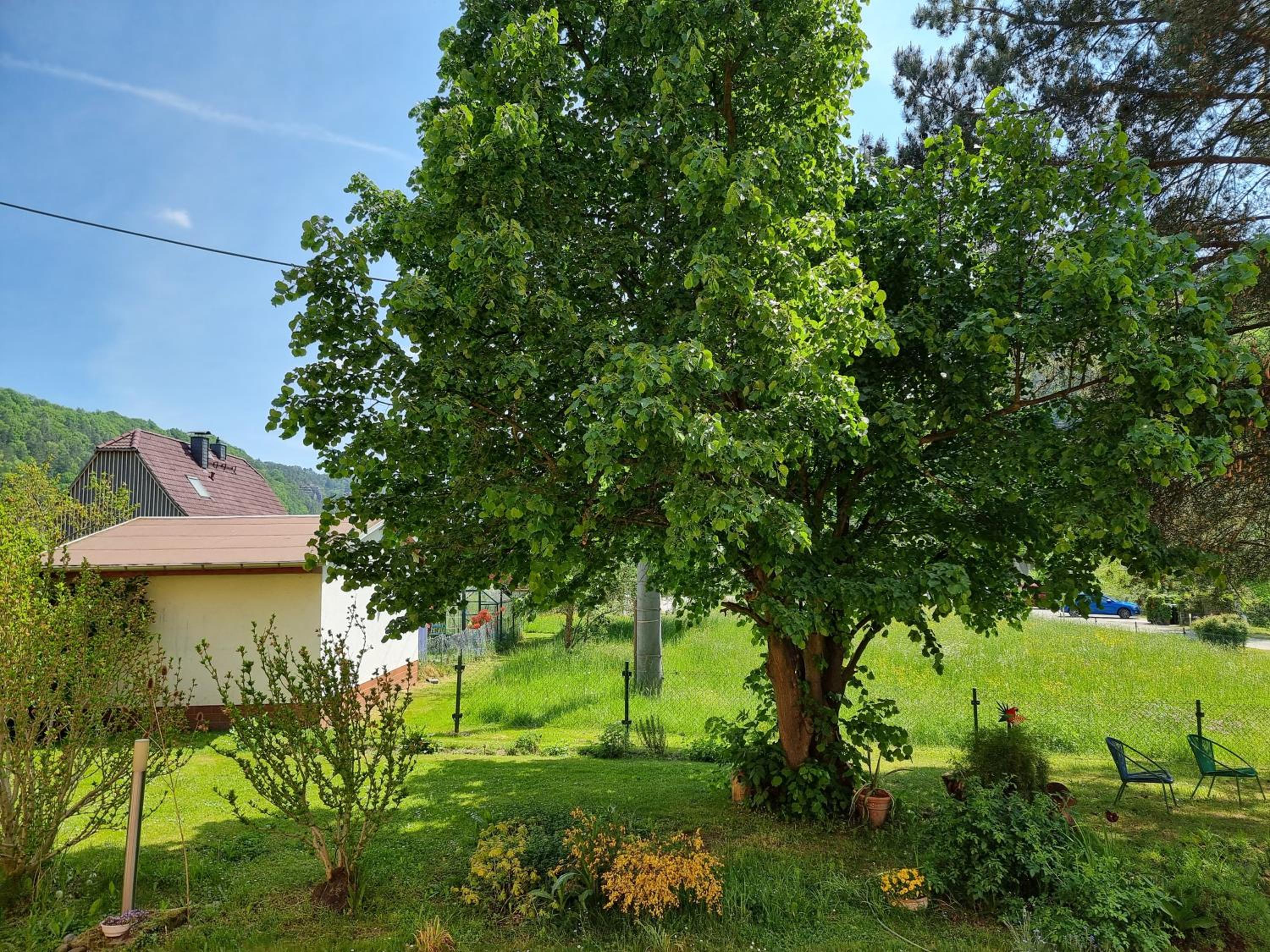 Photo 43
