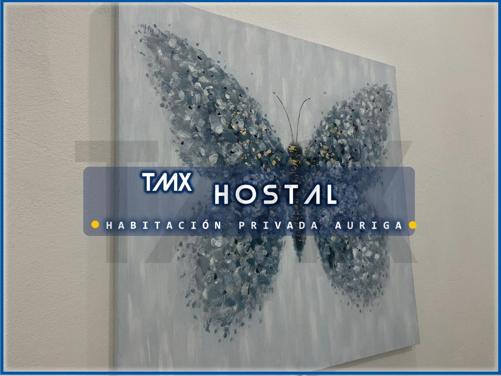 TMX HOSTAL