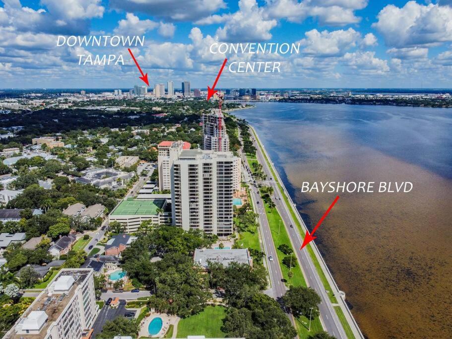 Luxury Holistic Oasis by Bayshore/Hyde Park/SoHo view 5